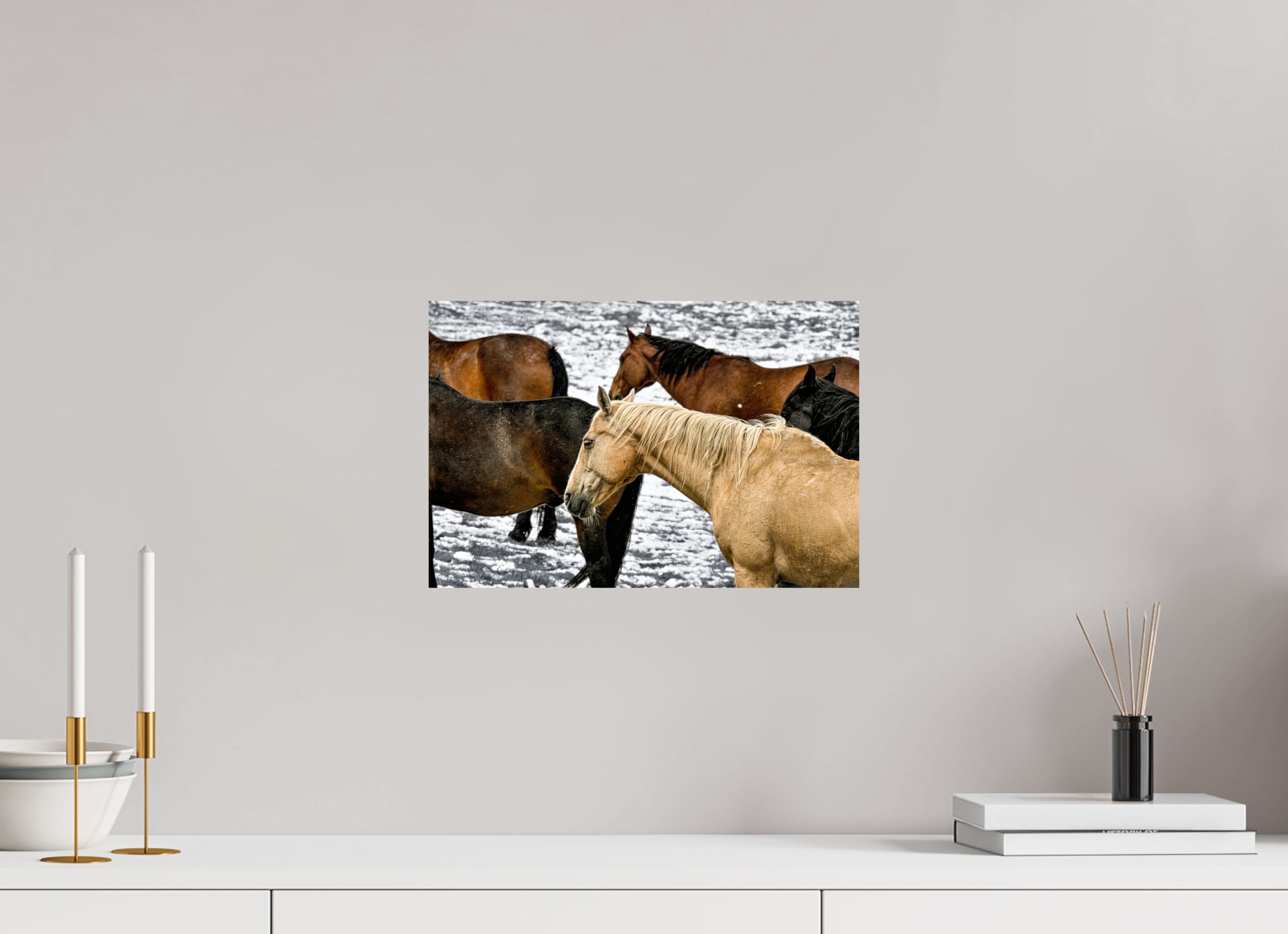 15 x 10″, PHOTO PAPER Colorful Horses