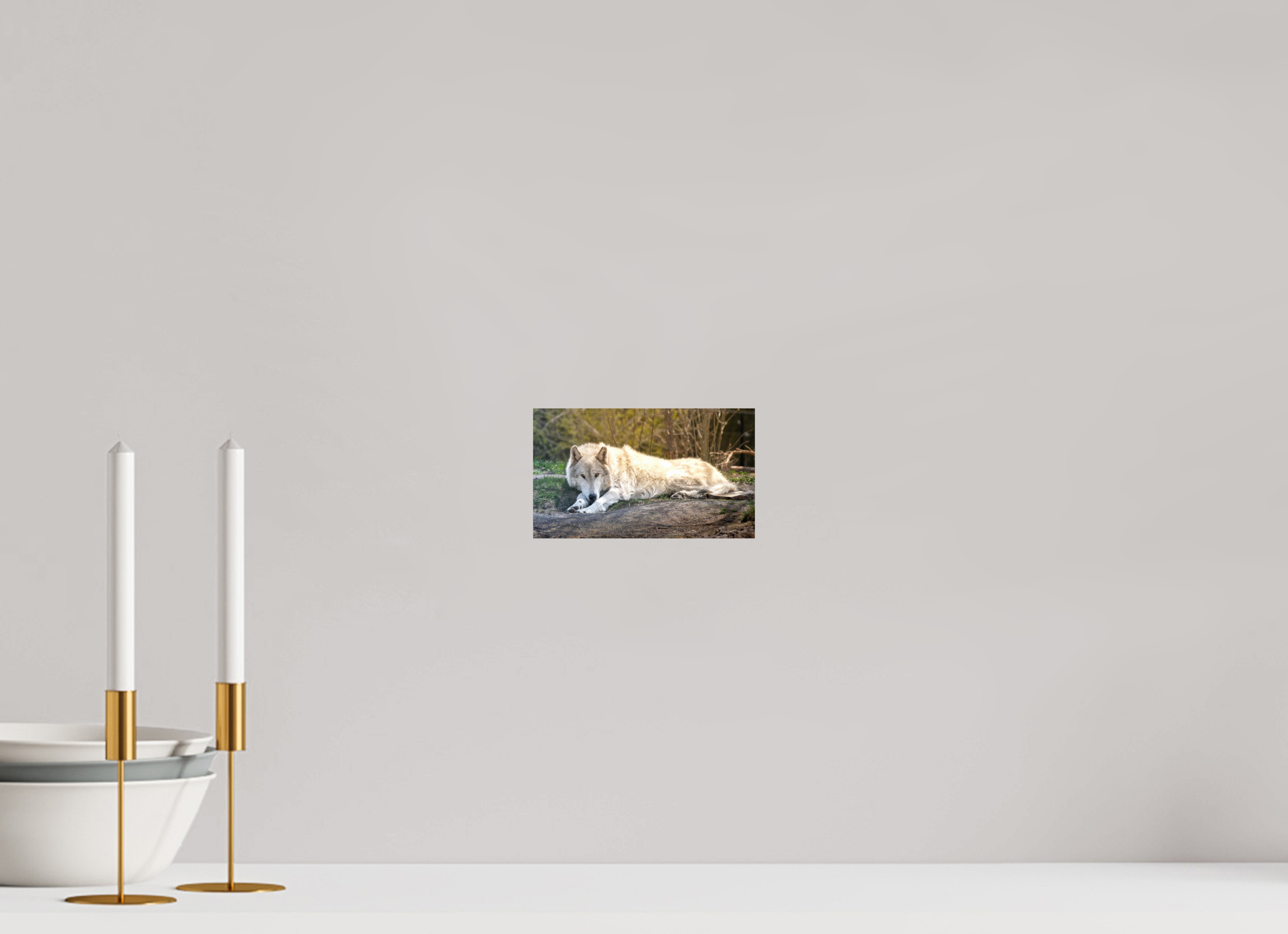 6.9 x 4″, METAL Wolf Laying Down