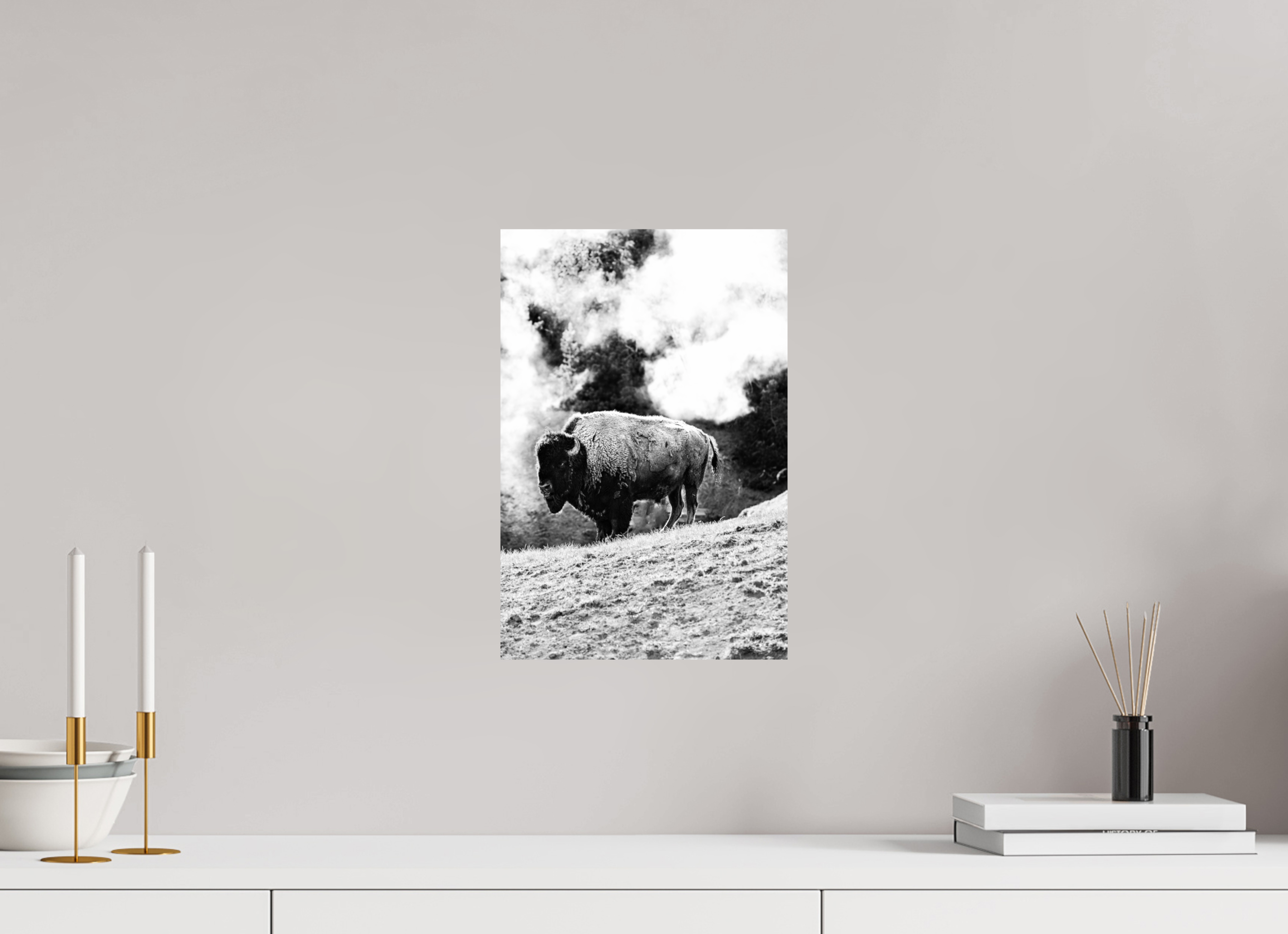 10 x 15″, PHOTO PAPER Monochrome Bison