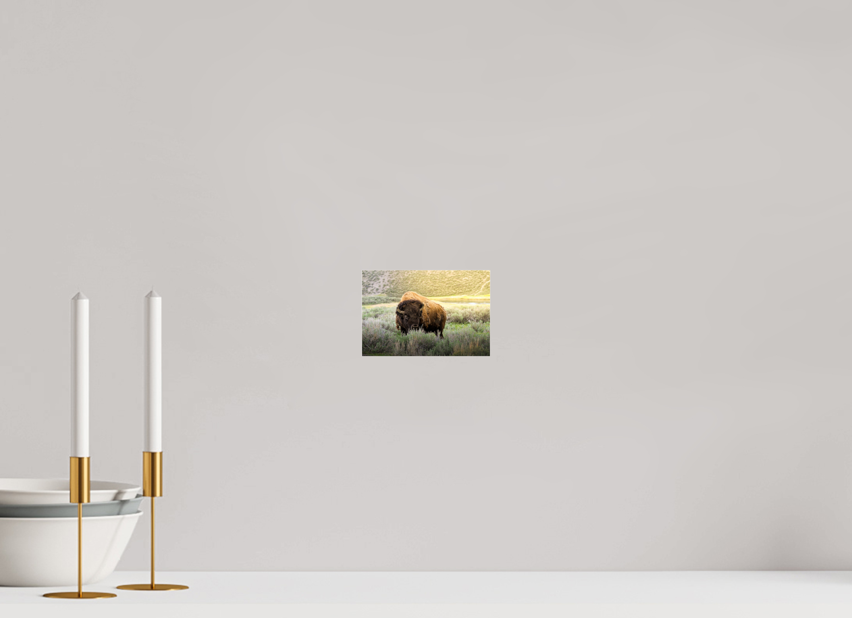 6 x 4″, ACRYLIC Bison