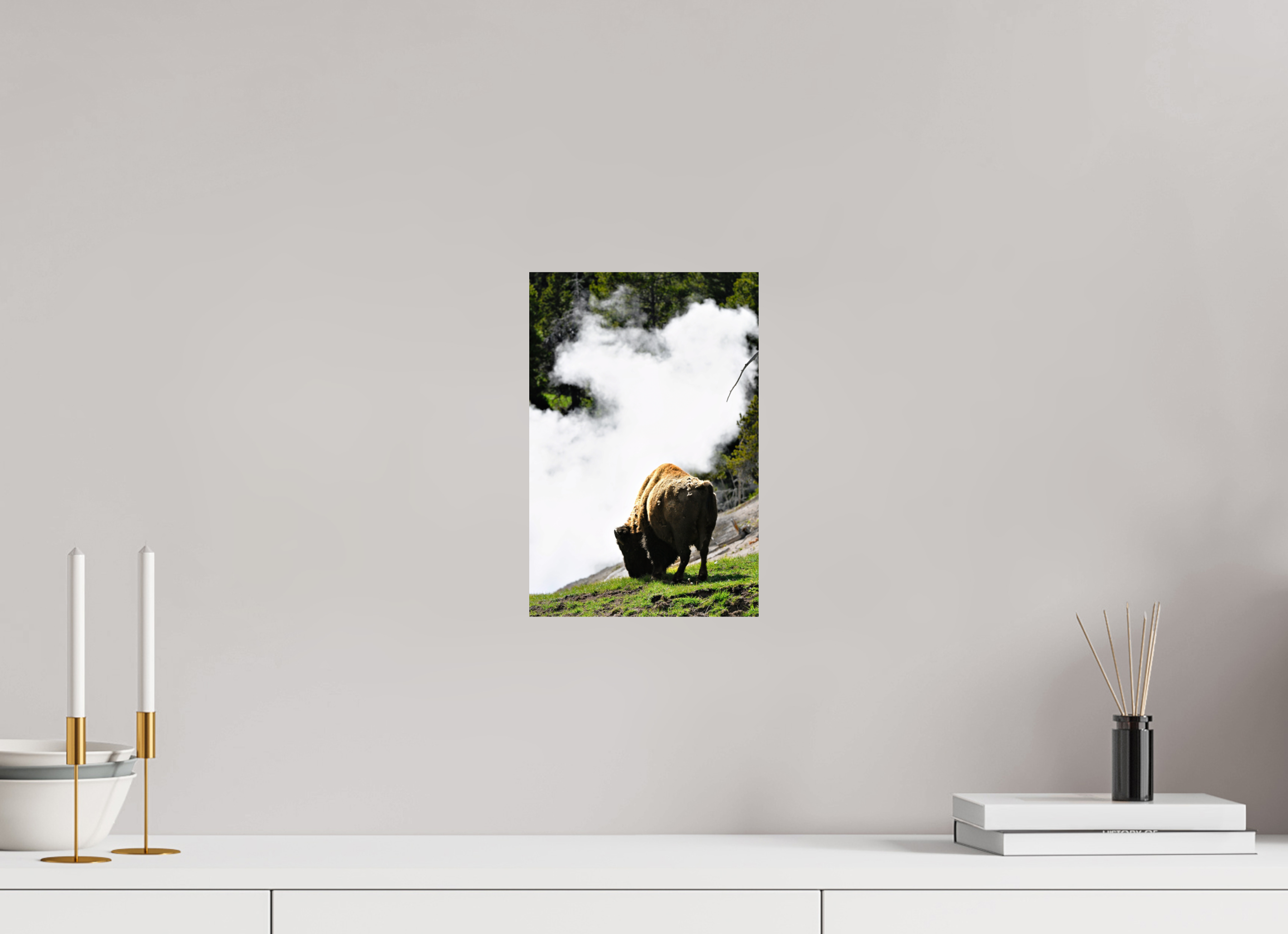 8 x 12″, PHOTO PAPER Bison Grazing