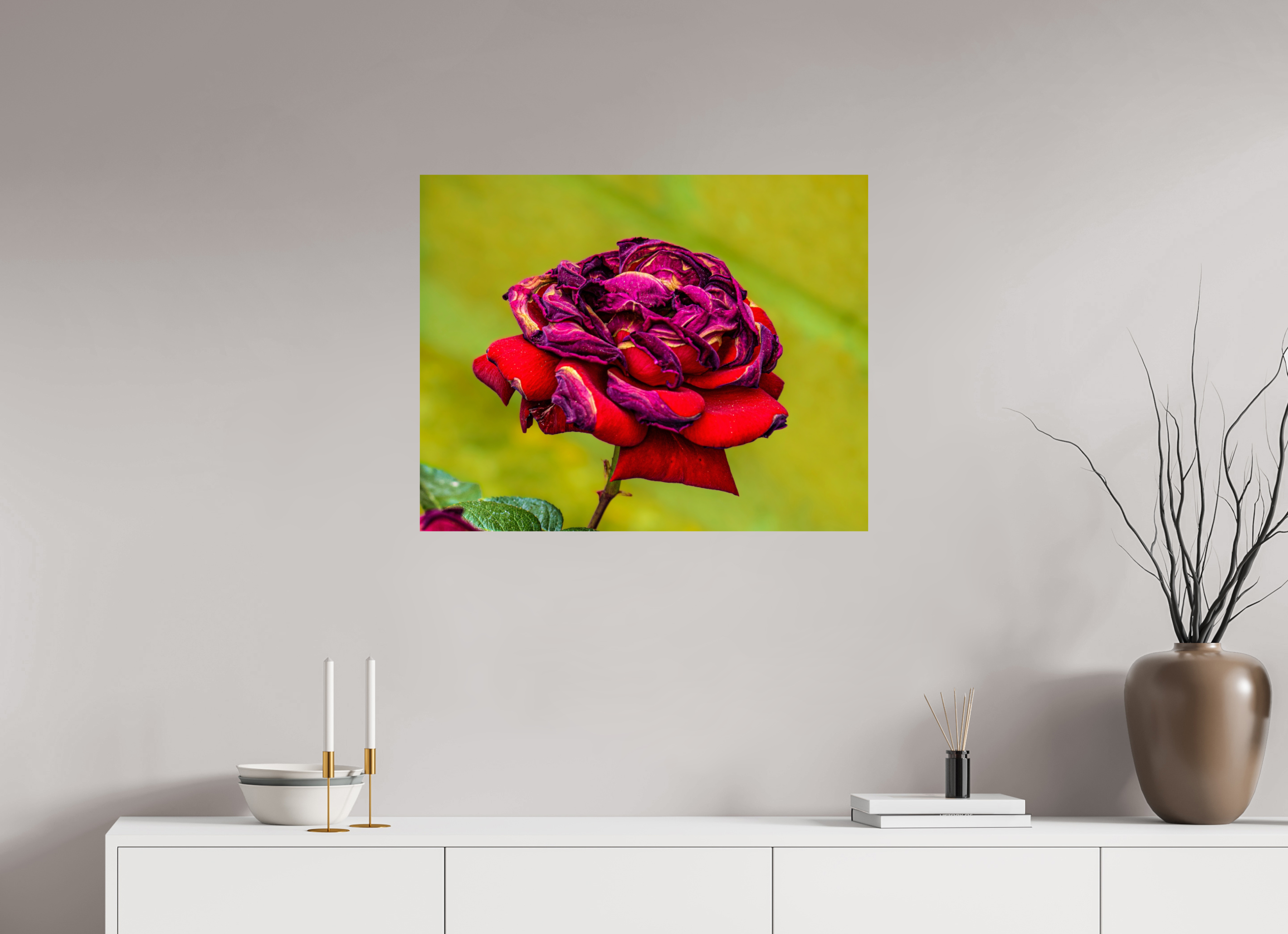 30.2 x 24″, METAL Red Rose