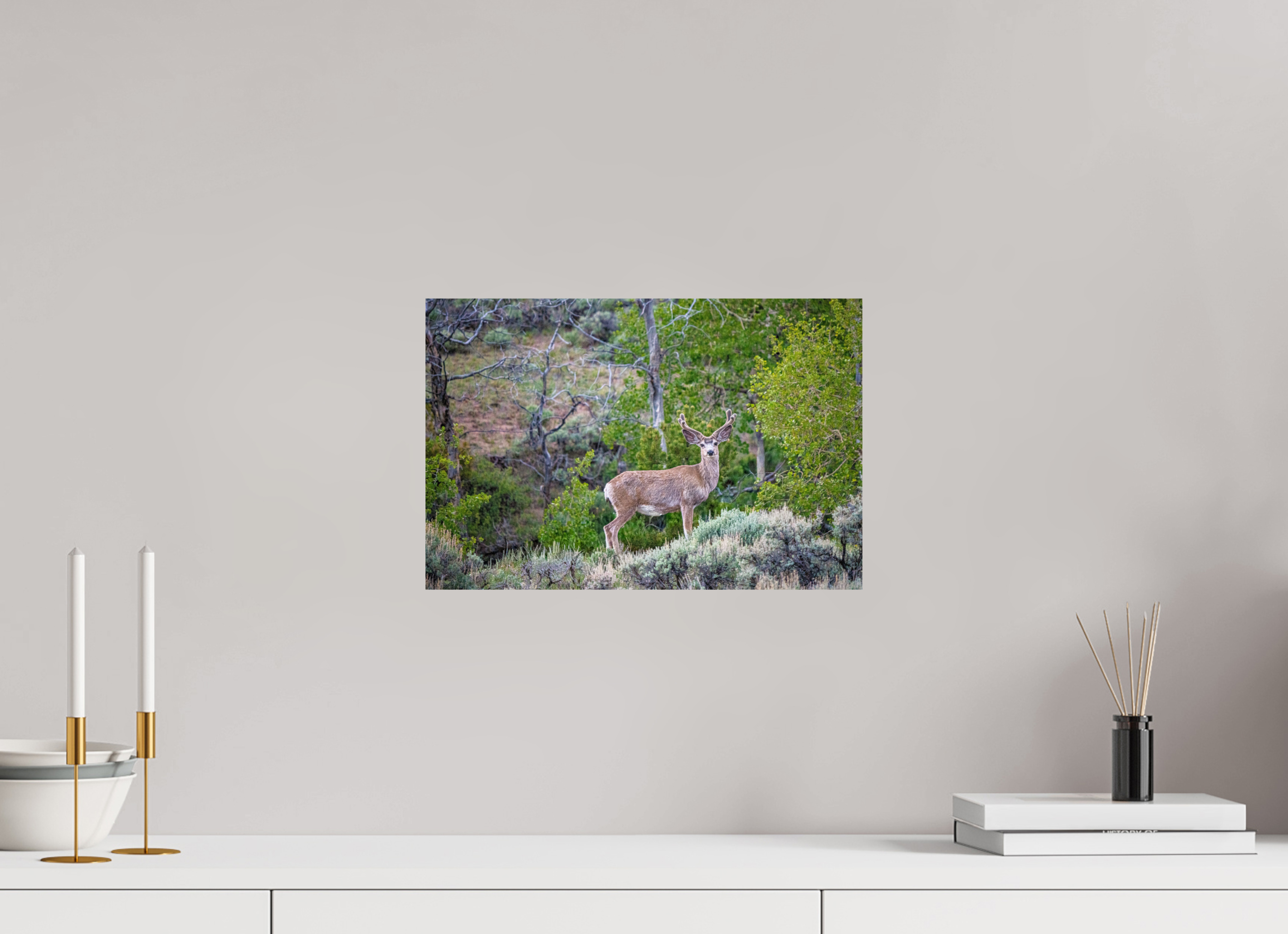 15 x 10″, METAL Deer