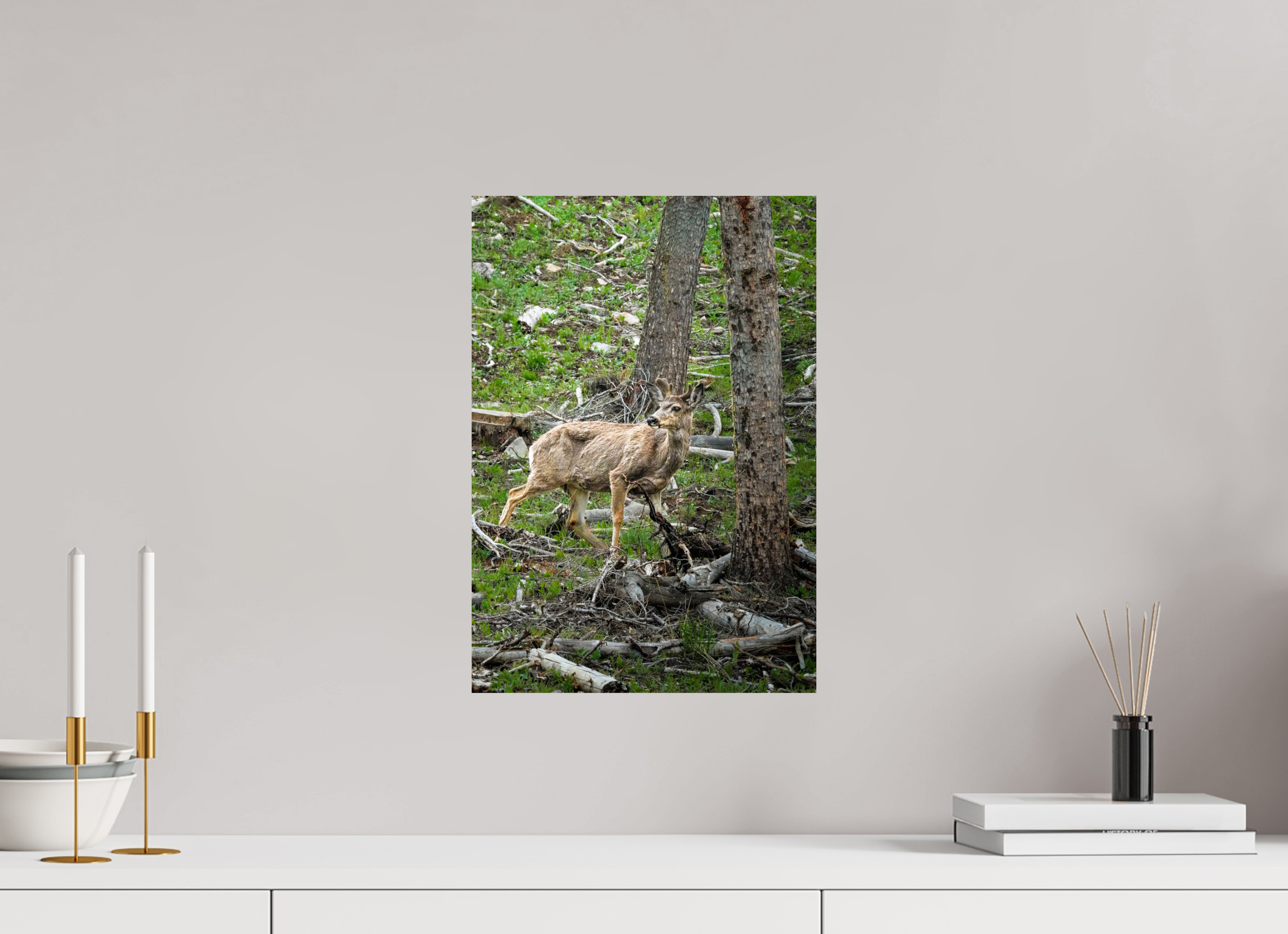 12 x 17.3″, PHOTO PAPER Deer