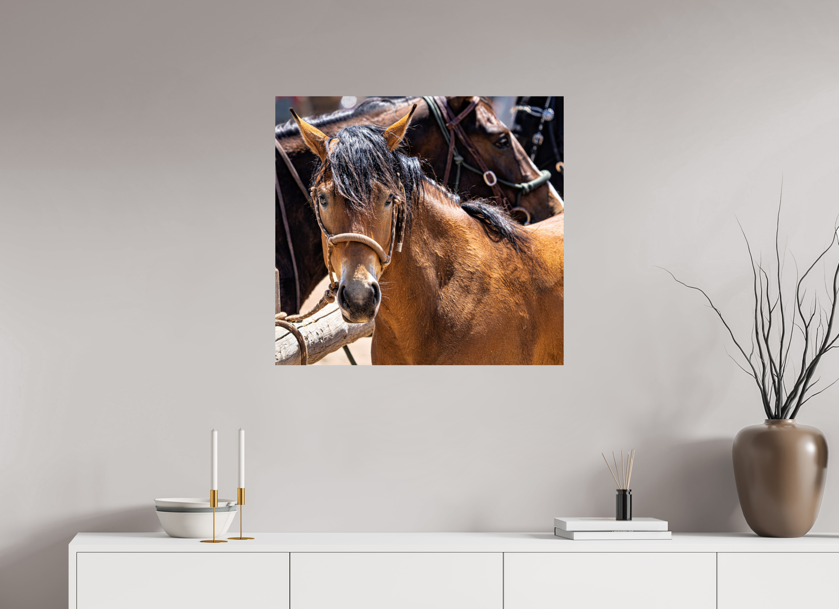 30 x 28″, PHOTO PAPER Pack Horse Portrait 6