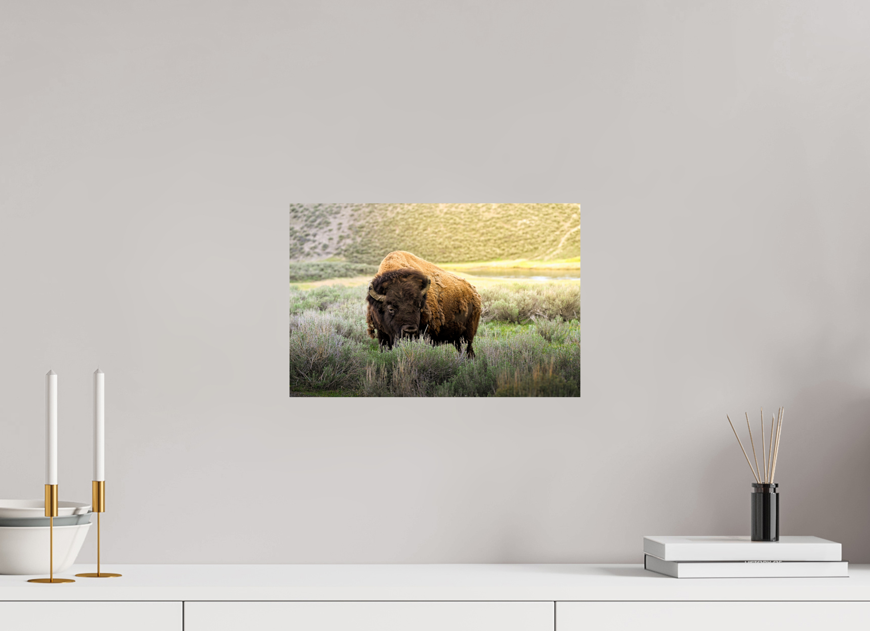 15 x 10″, PHOTO PAPER Bison