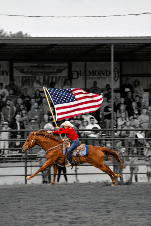 Main image America 250 Flag Rider 12