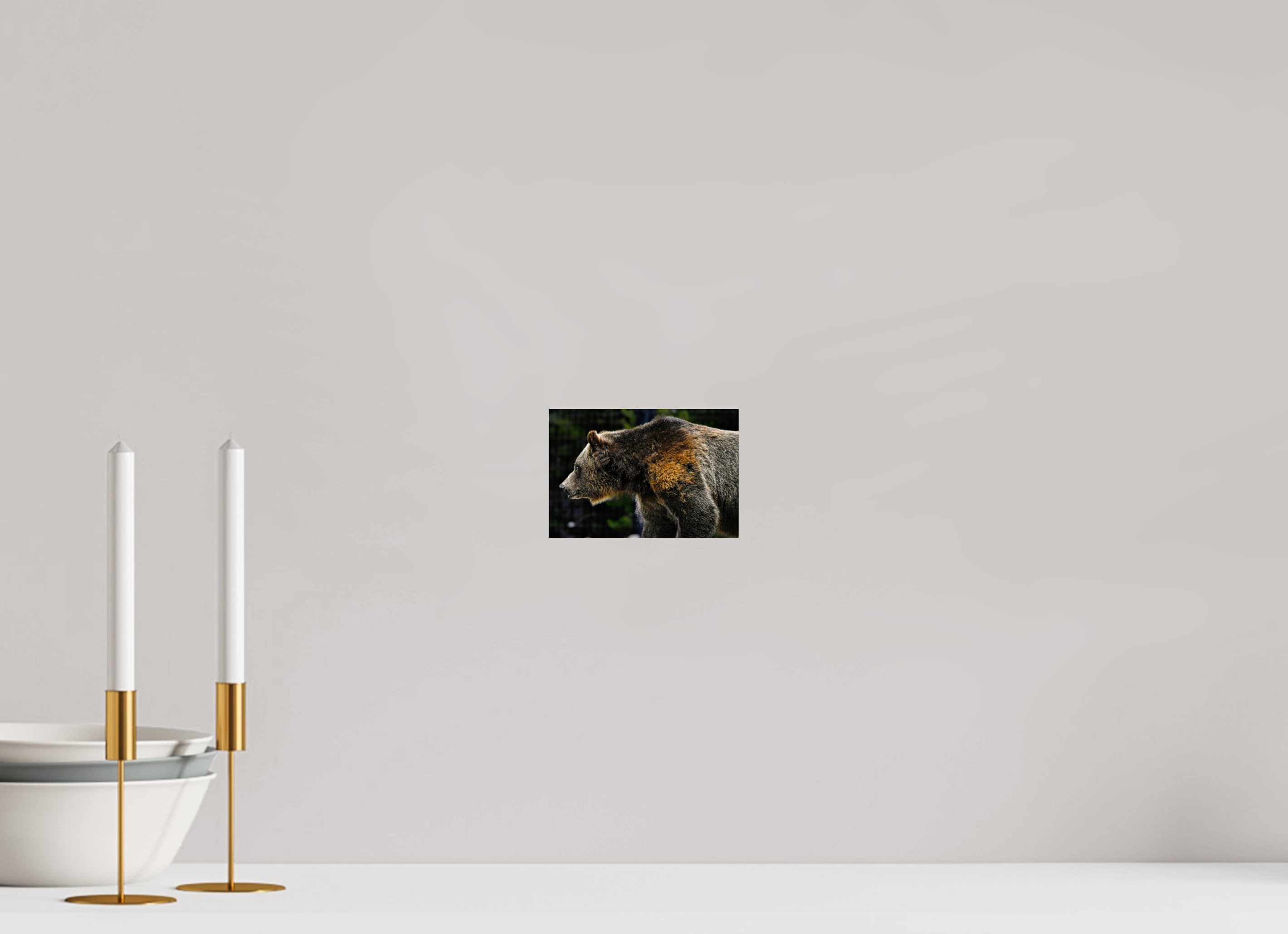 5.9 x 4″, PHOTO PAPER Bear