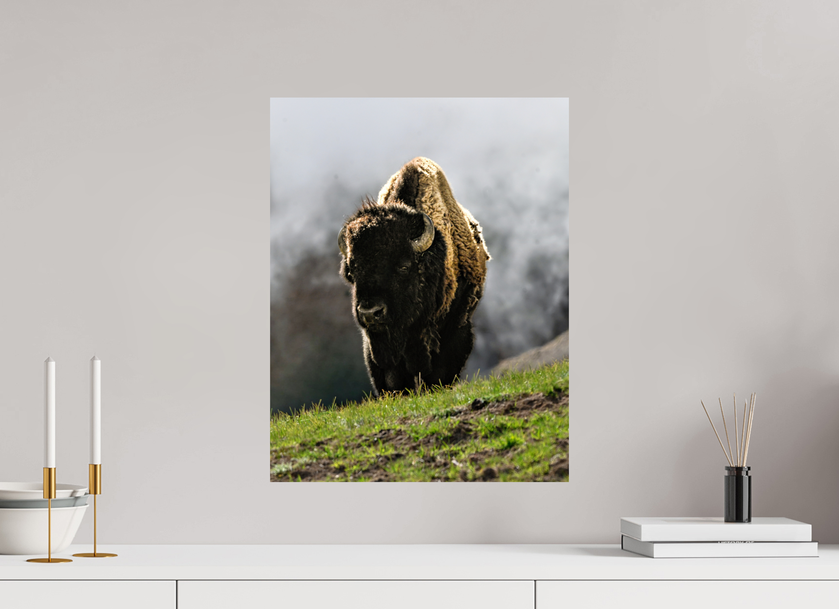 16 x 20.6″, PHOTO PAPER Bison