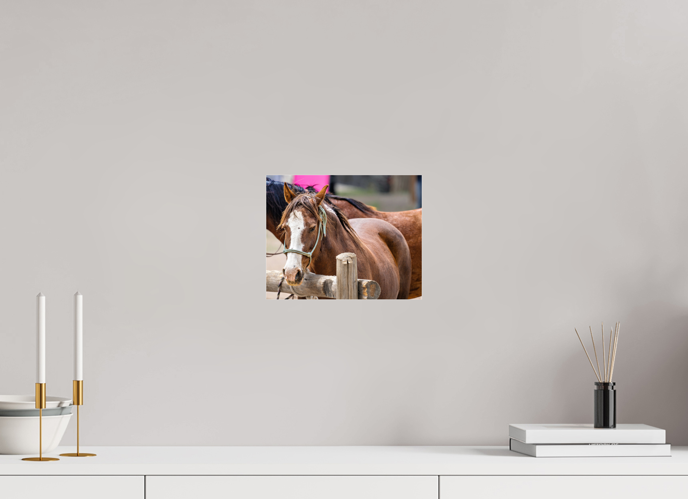10 x 8″, ACRYLIC Pack Horse Portrait 12 Web Exclusive