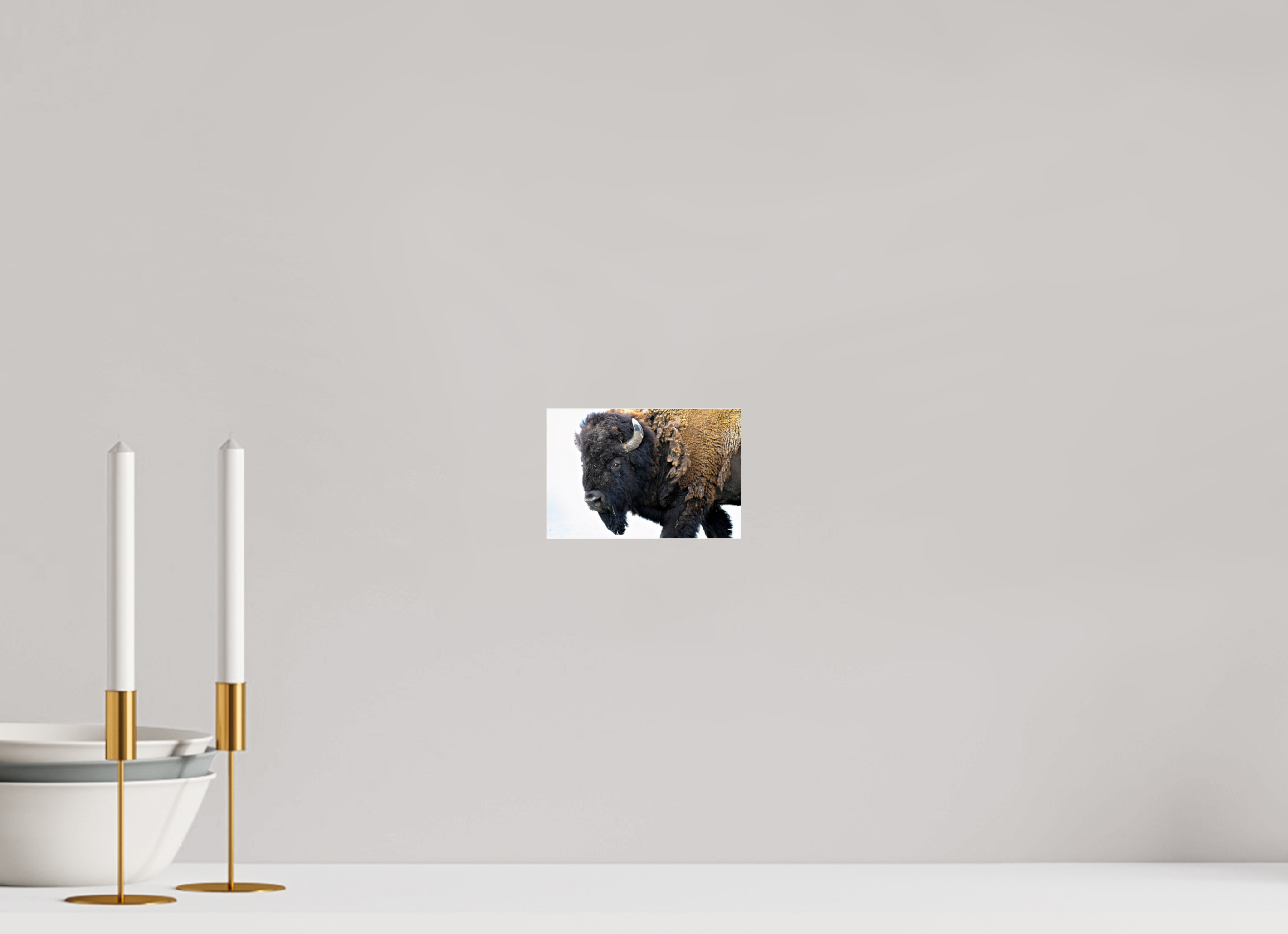6 x 4″, ACRYLIC Bison Side eye