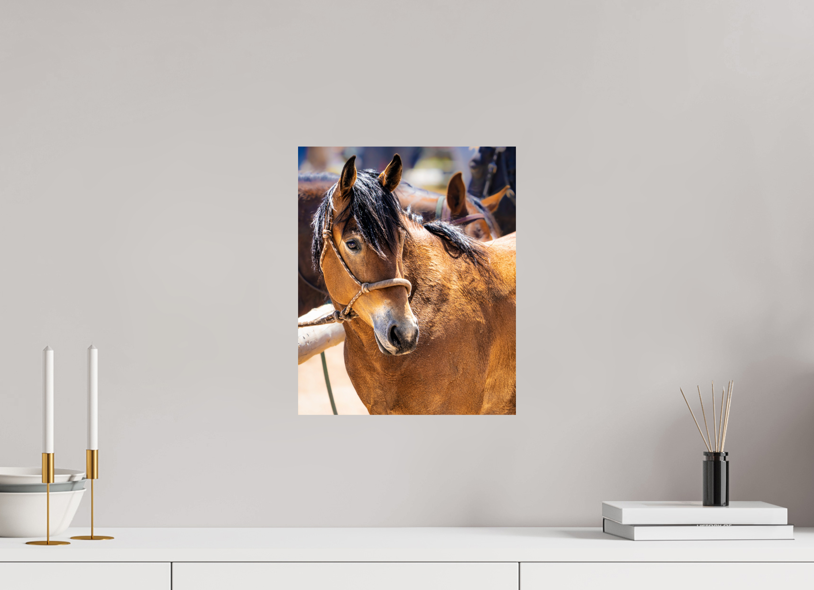 12 x 14.8″, PHOTO PAPER Pack Horse Portrait 5
