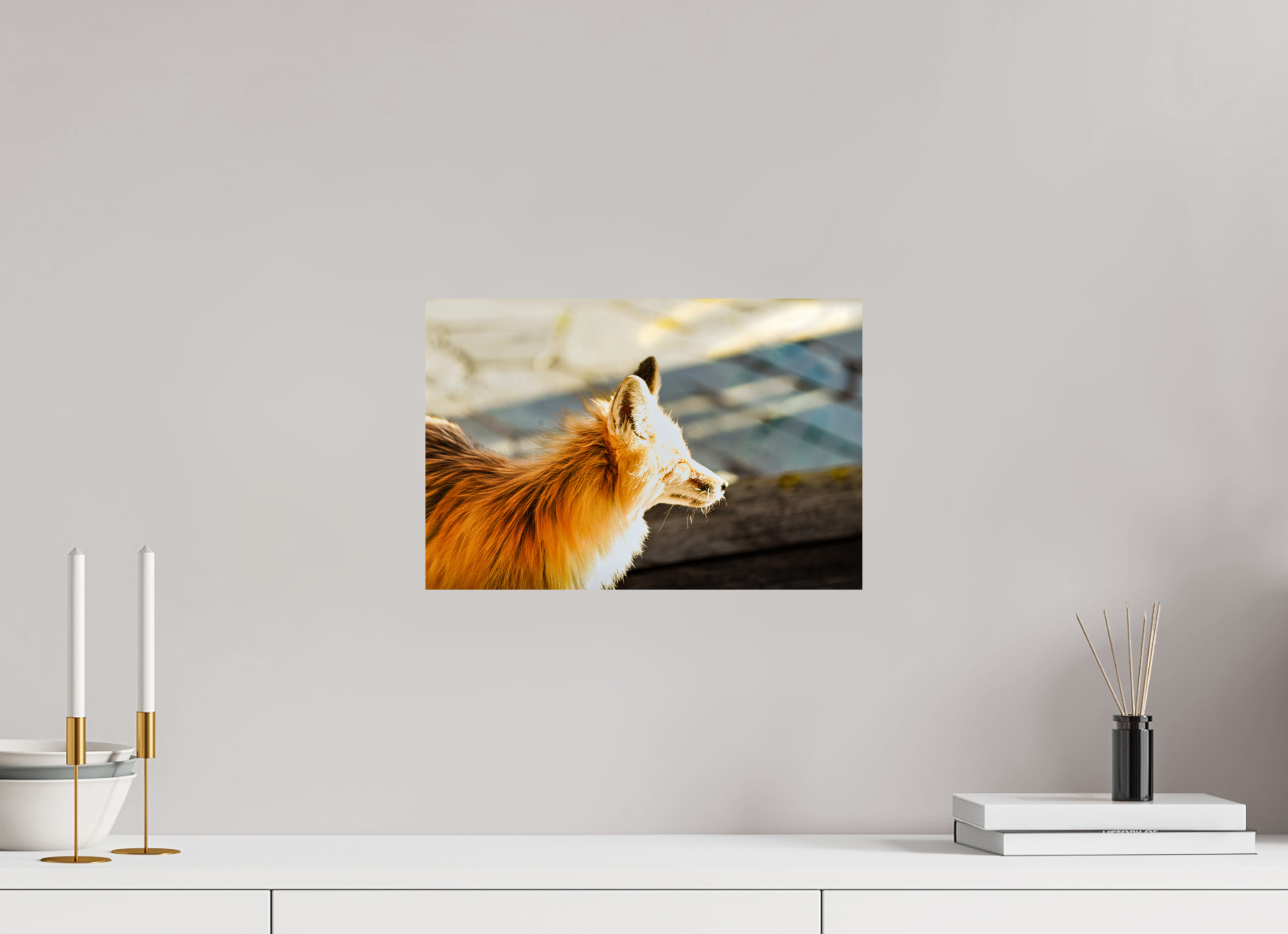 15 x 10″, METAL Fox