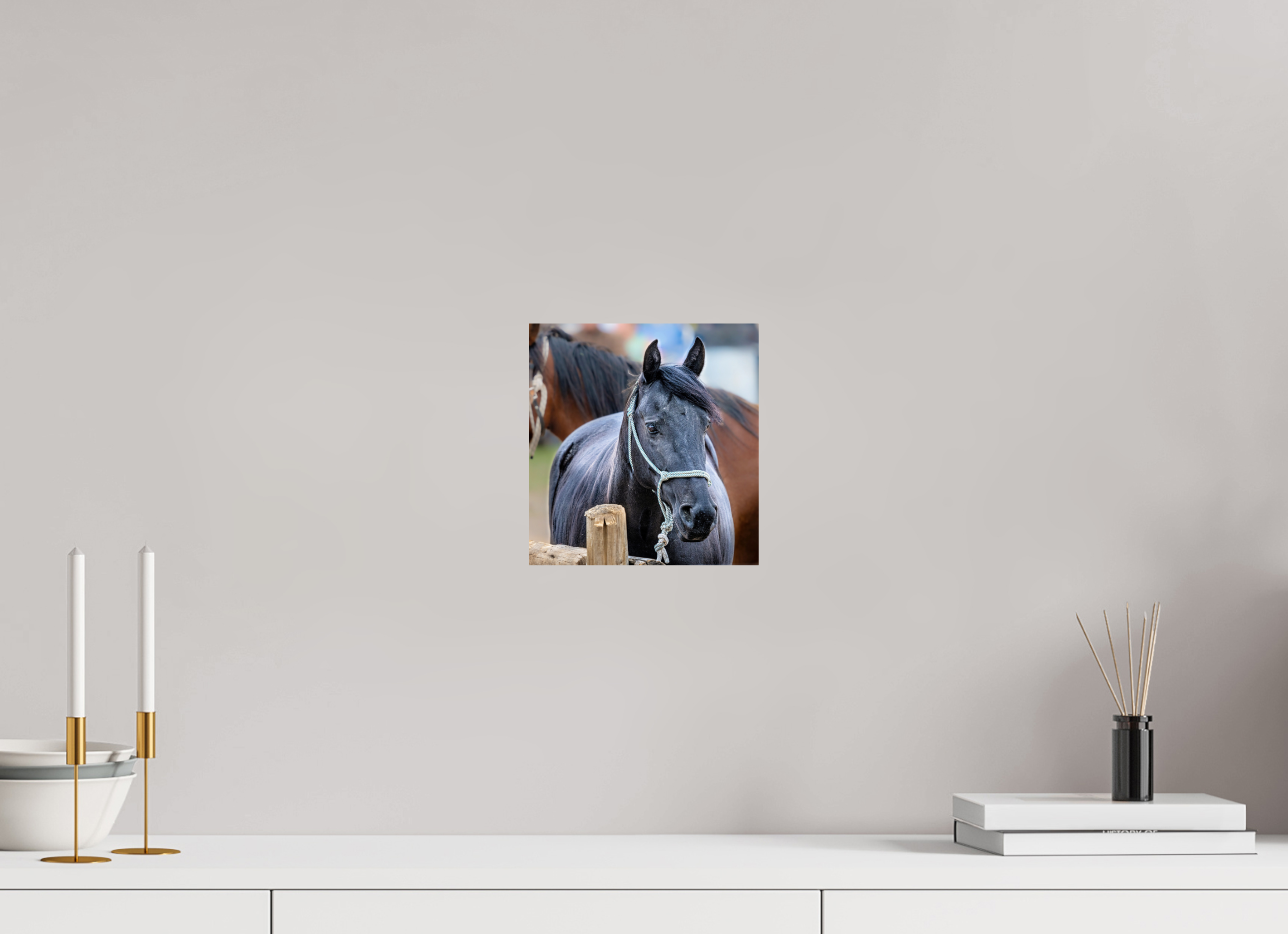8 x 8.4″, PHOTO PAPER Pack Horse Portrait 8 Web Exclusive