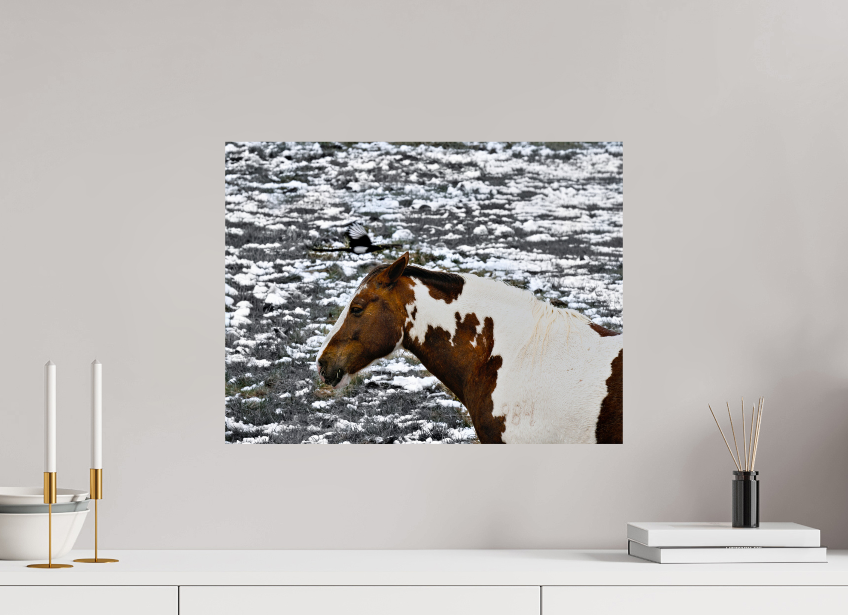 21 x 16″, PHOTO PAPER Paint Horse with Bird Flying Over