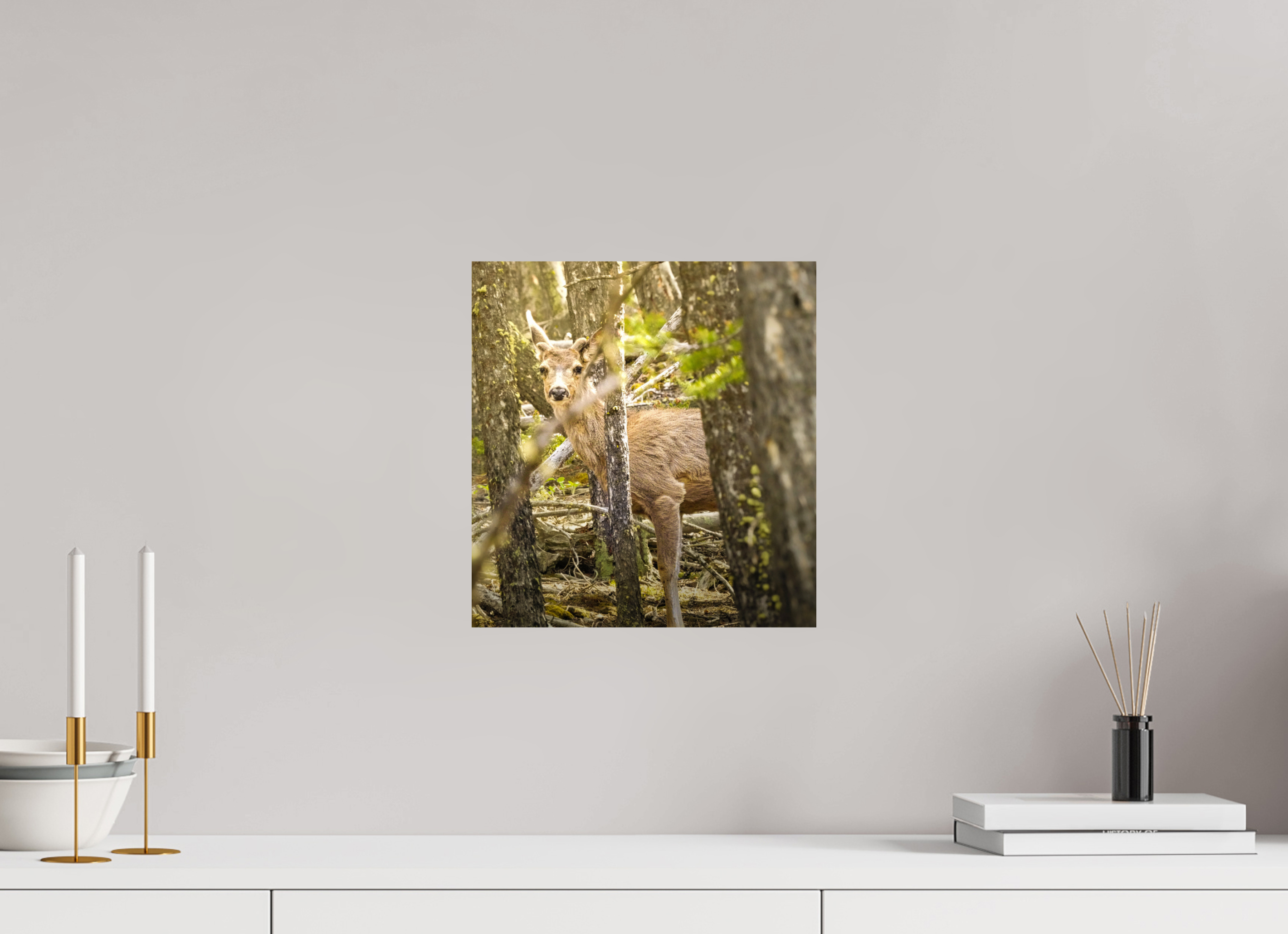 12 x 12.8″, PHOTO PAPER Deer