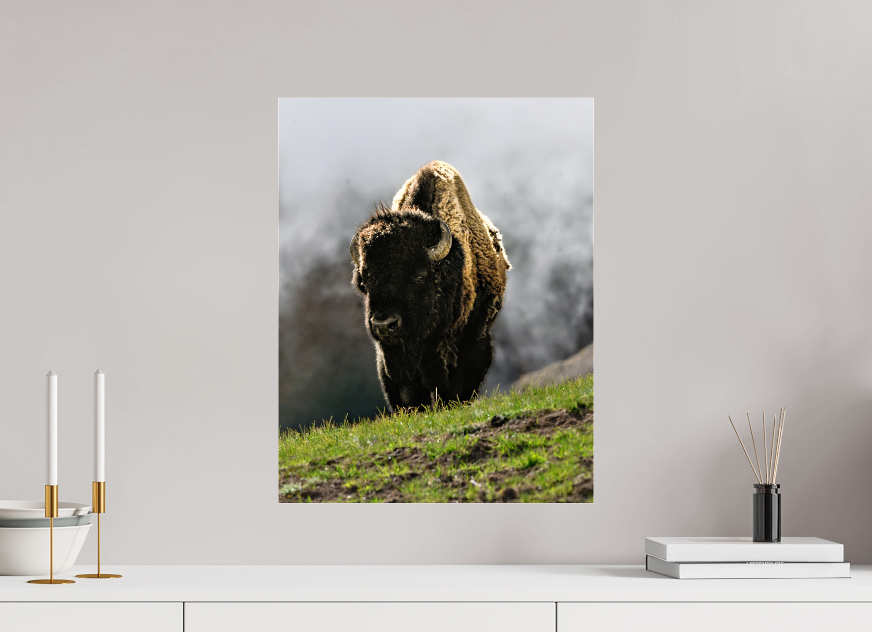 16 x 20.6″, ACRYLIC Bison