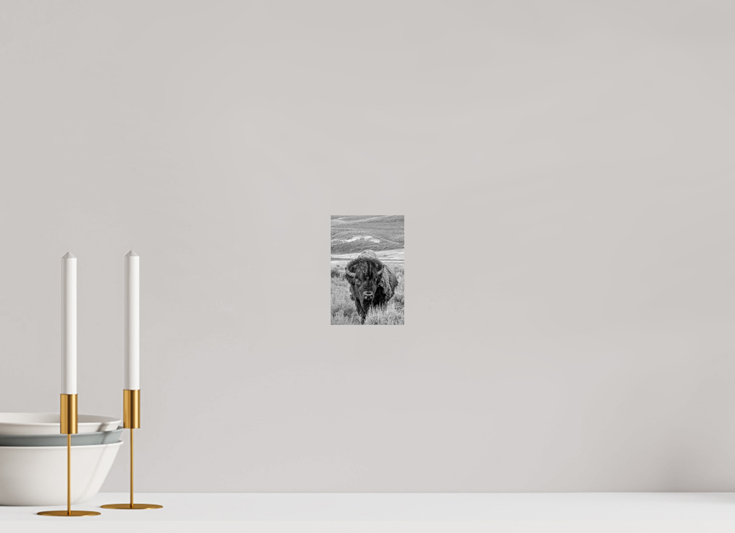 4 x 6″, PHOTO PAPER Monochrome Bison