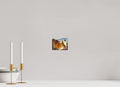5.3 x 4″, PHOTO PAPER Fox