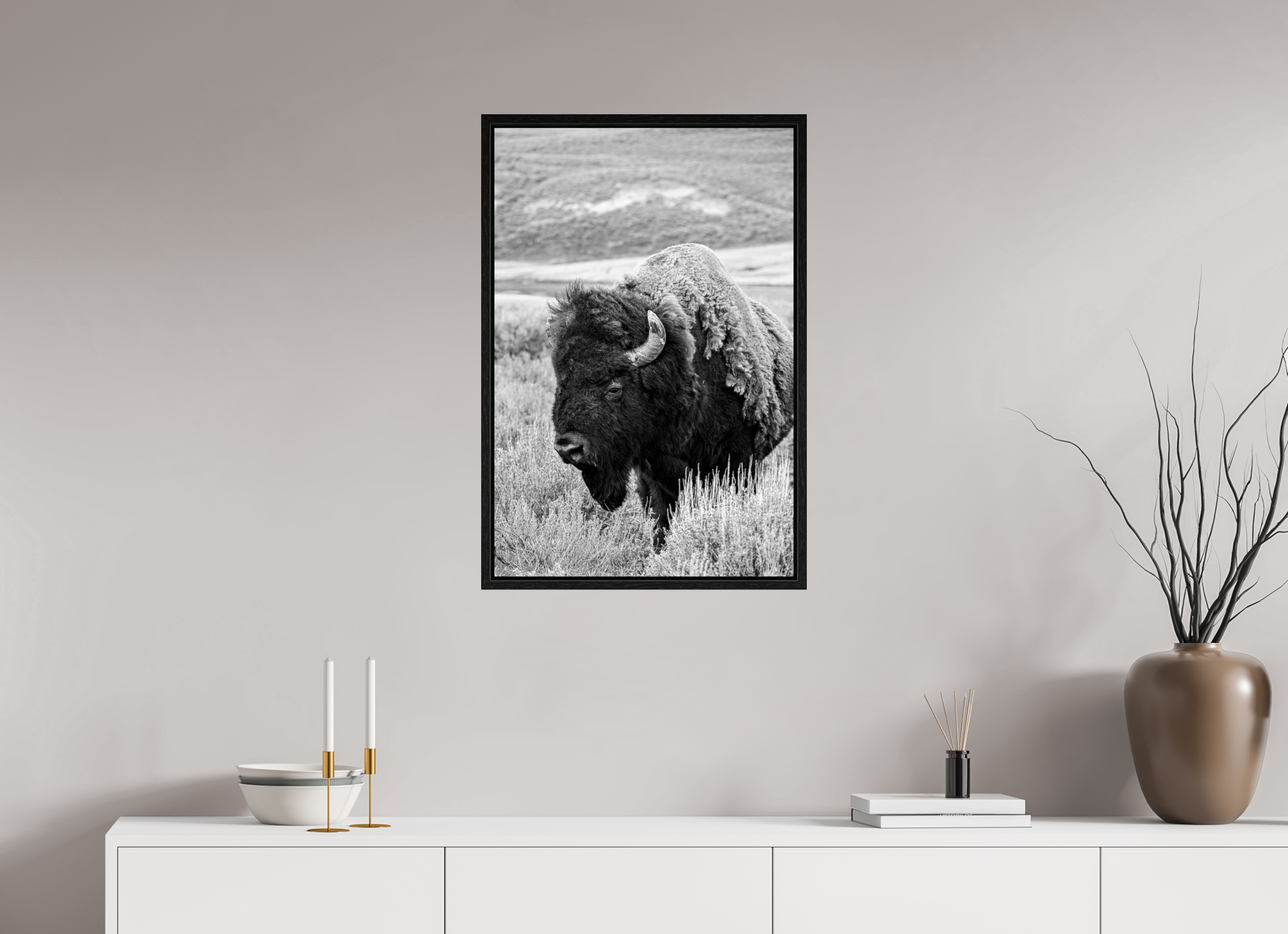 20 x 30″, Floater Frame Black and White Bison Side Profile