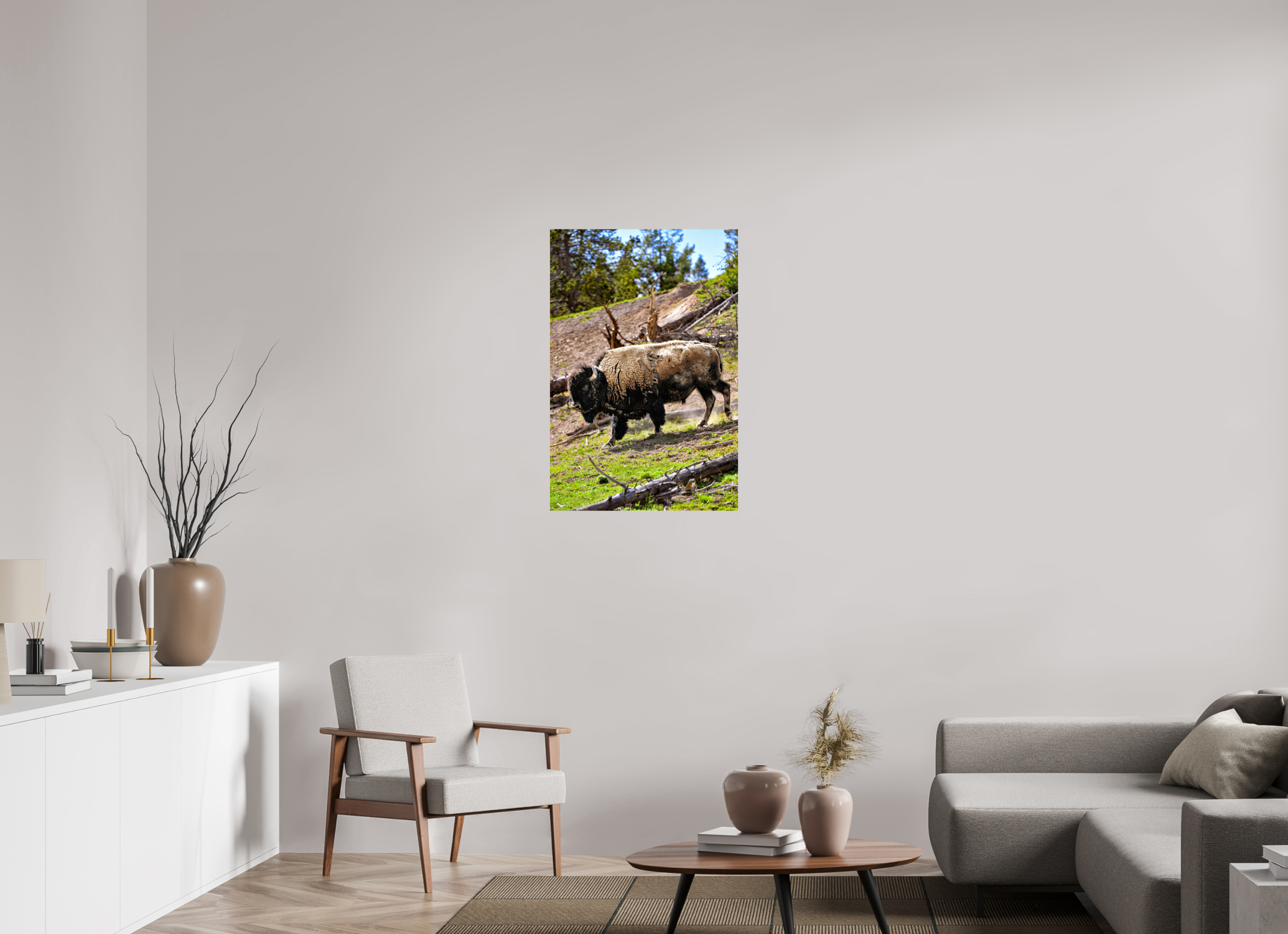 24 x 36″, PHOTO PAPER Bison Walking