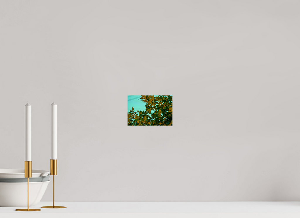 6 x 4″, PHOTO PAPER Leaves