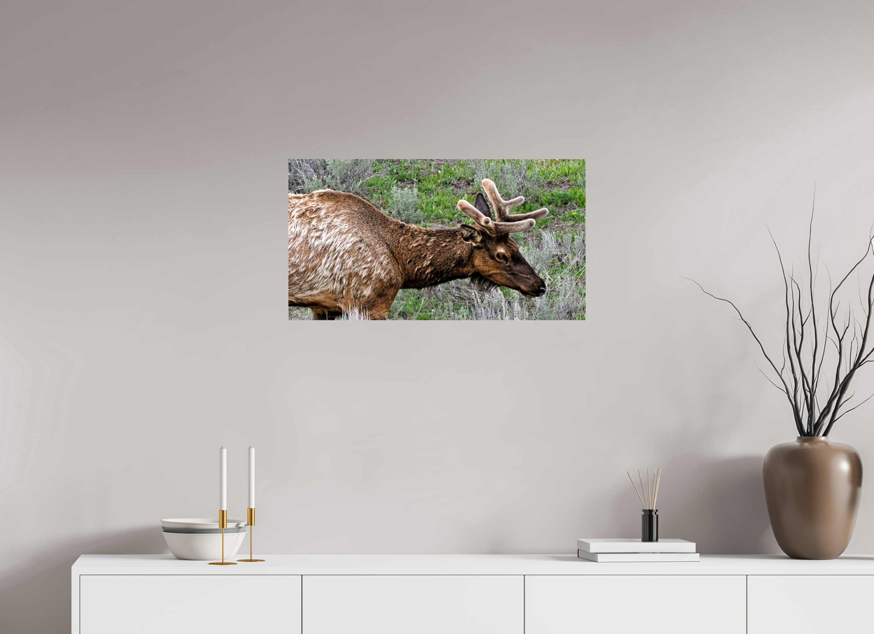 29.5 x 16″, METAL Elk