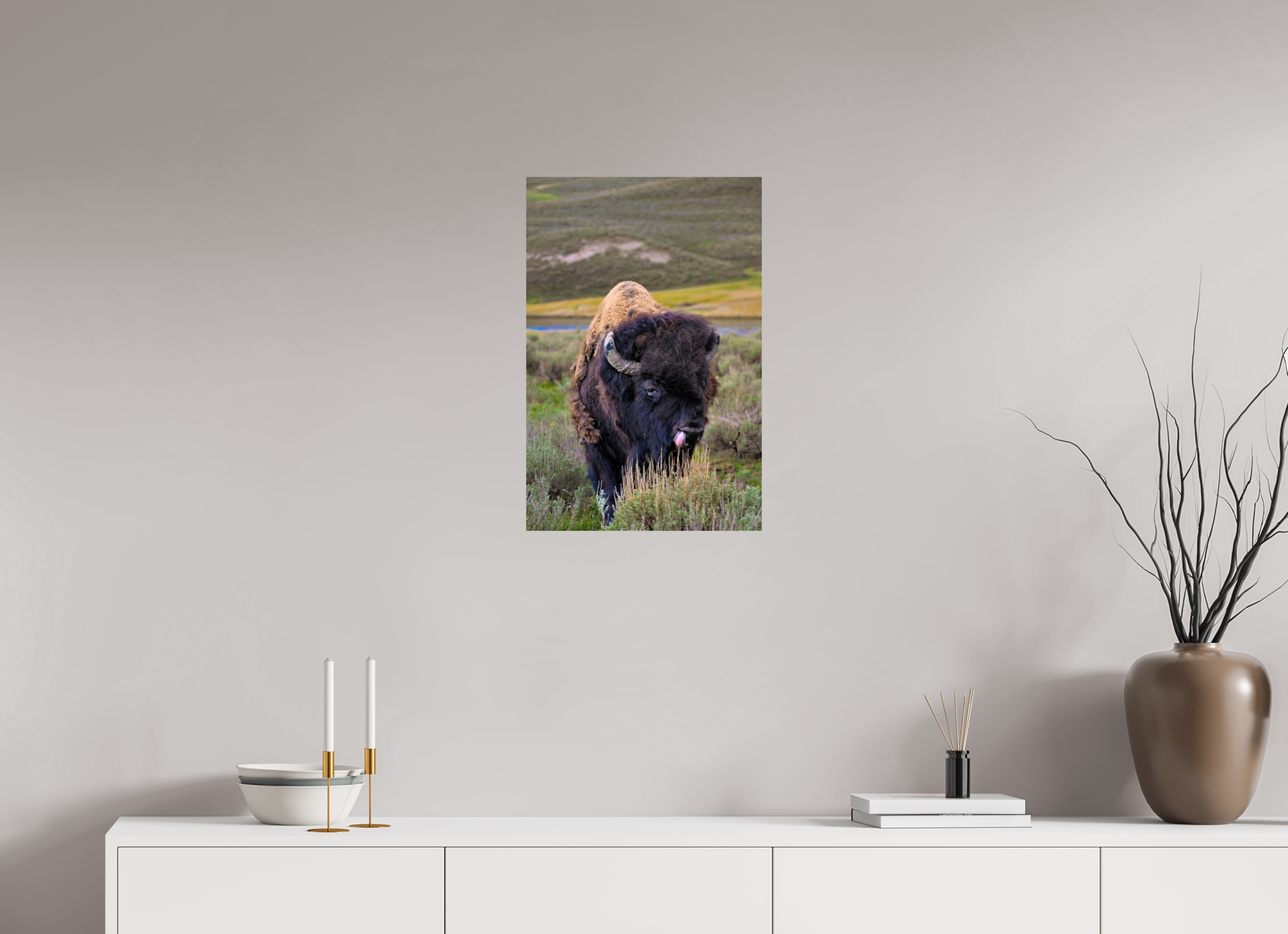 16 x 24″, PHOTO PAPER Bison with Tongue