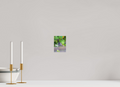 4 x 5.4″, PHOTO PAPER Bird