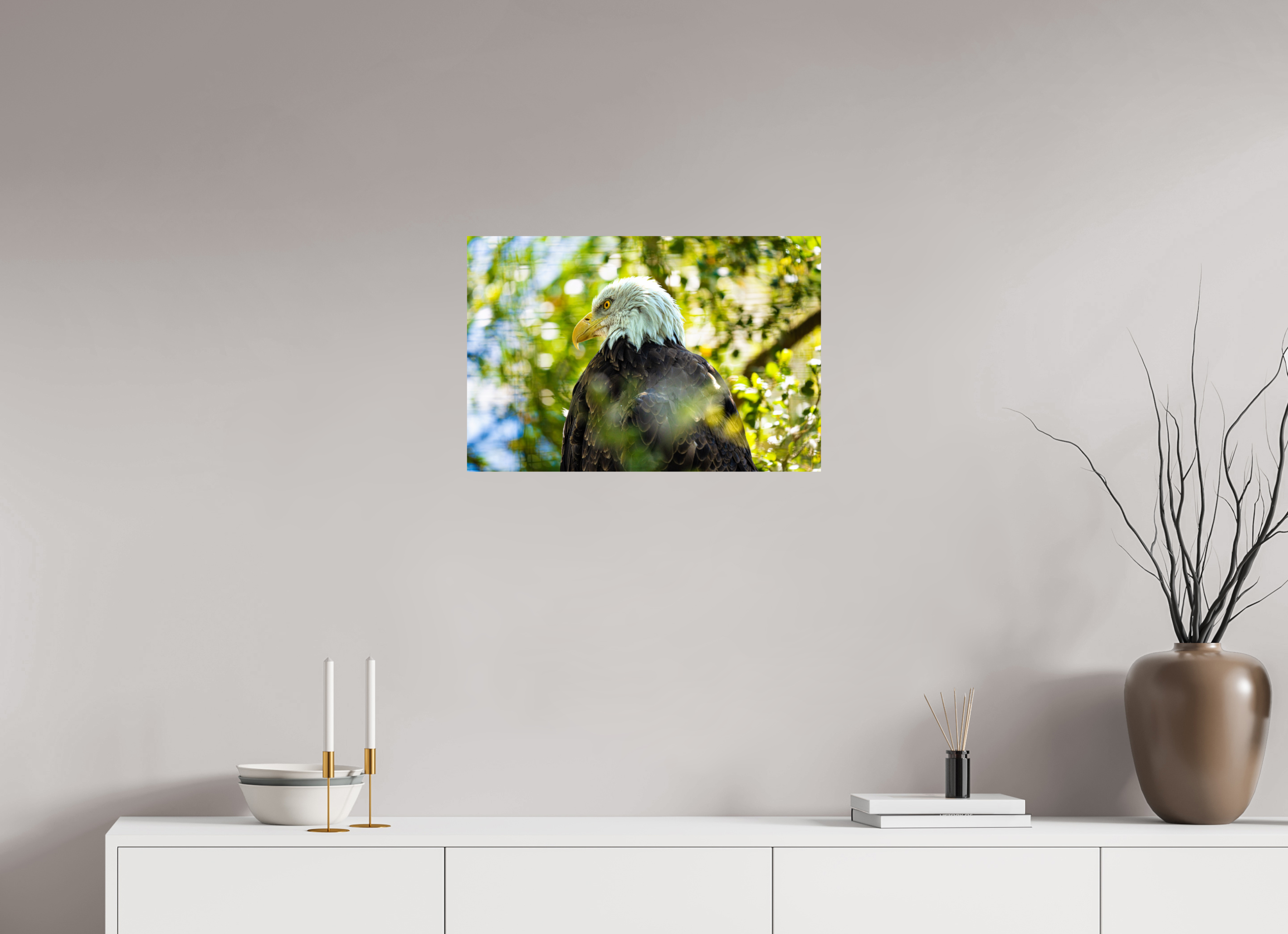 24 x 16″, PHOTO PAPER America 250 Bald Eagle
