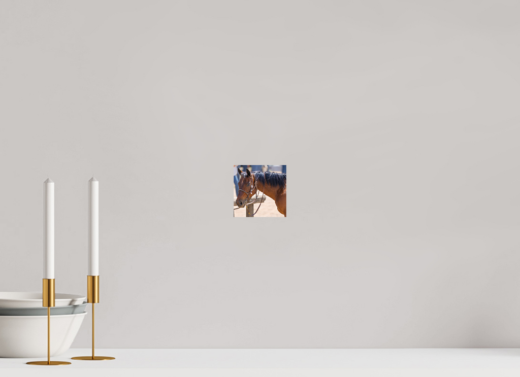 4.1 x 4″, PHOTO PAPER Pack Horse Portrait 15 Web Exclusive