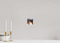 4.1 x 4″, PHOTO PAPER Pack Horse Portrait 15 Web Exclusive