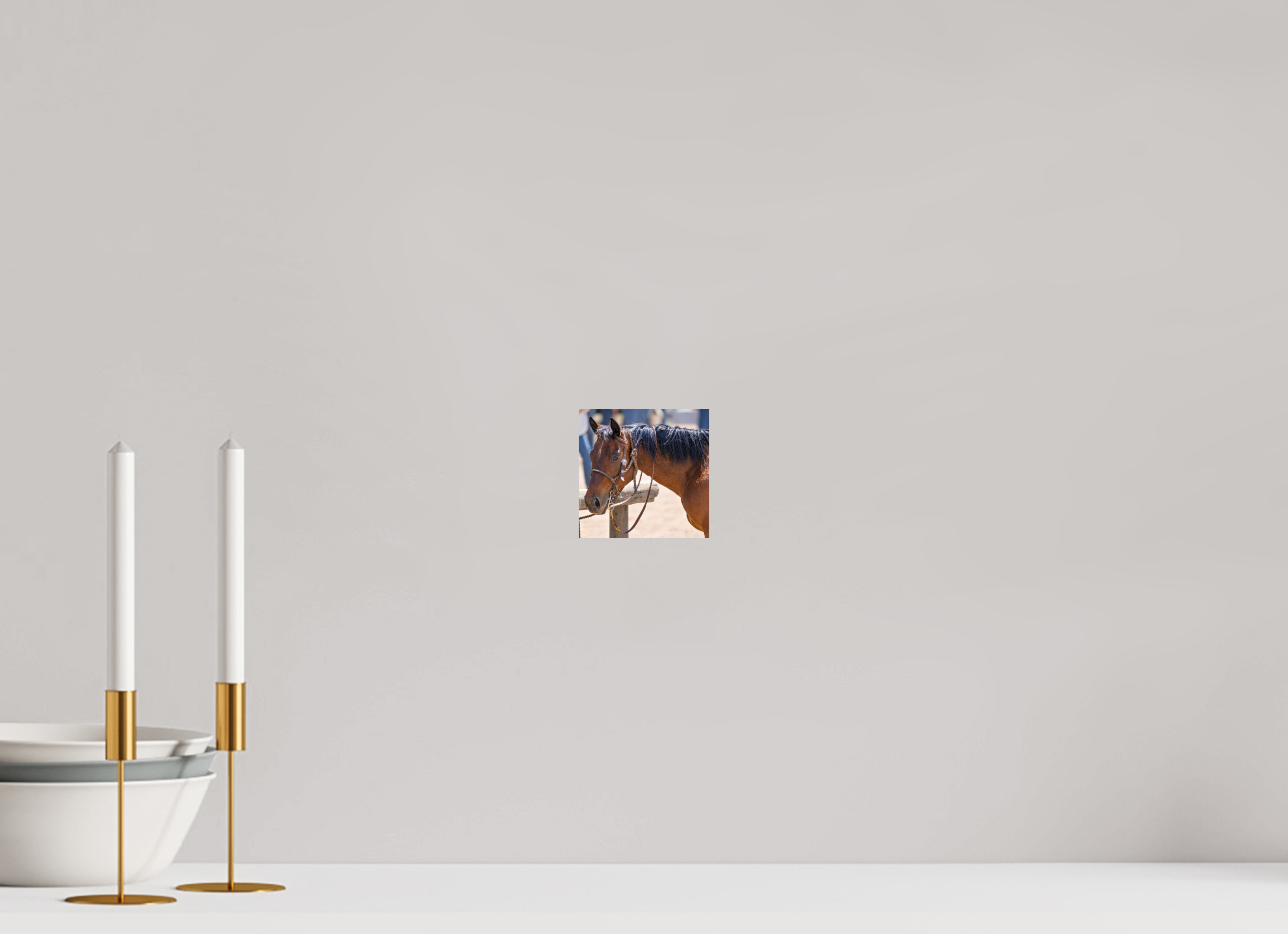 4.1 x 4″, PHOTO PAPER Pack Horse Portrait 15 Web Exclusive