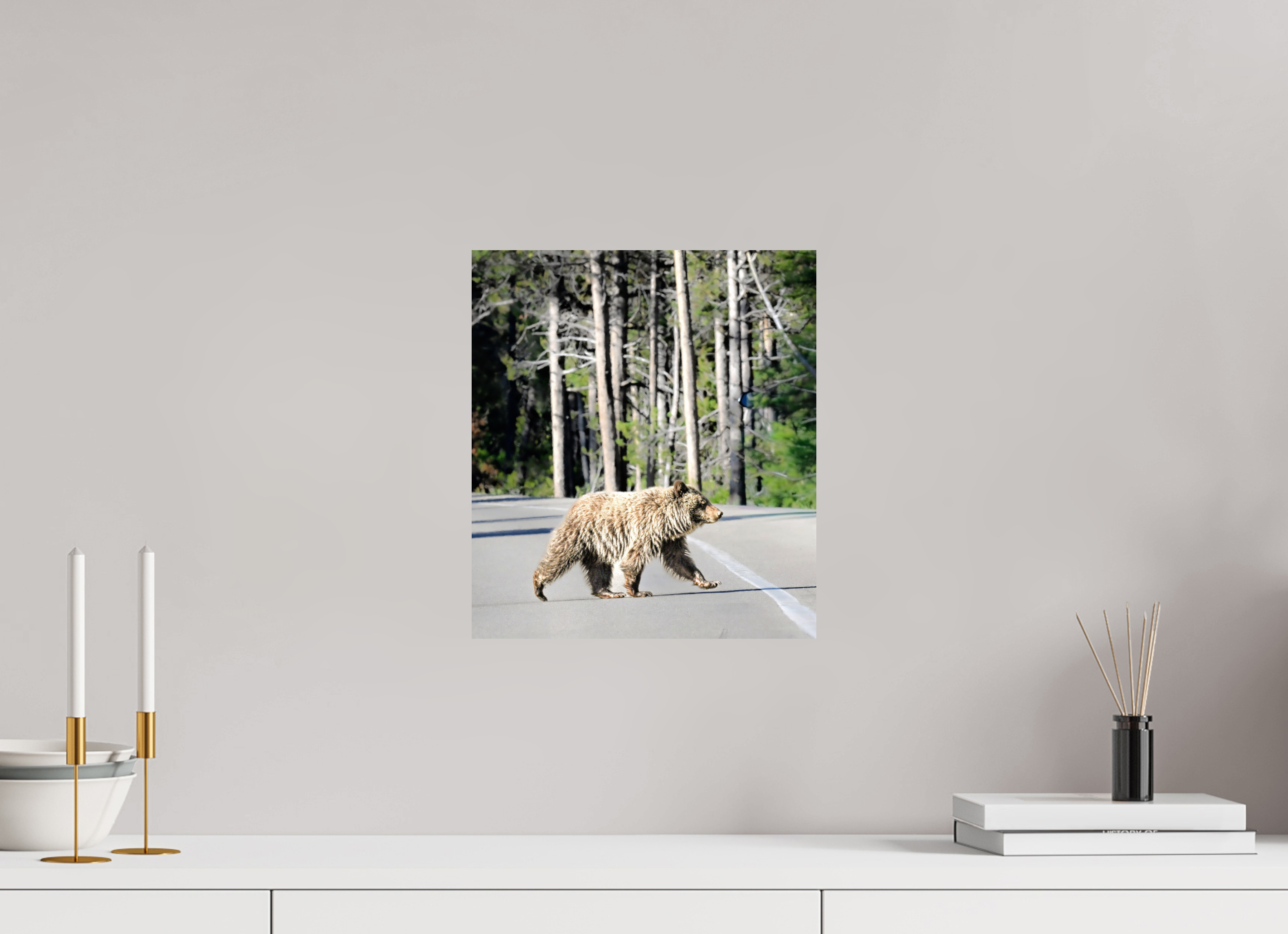 12 x 13.5″, PHOTO PAPER Bear