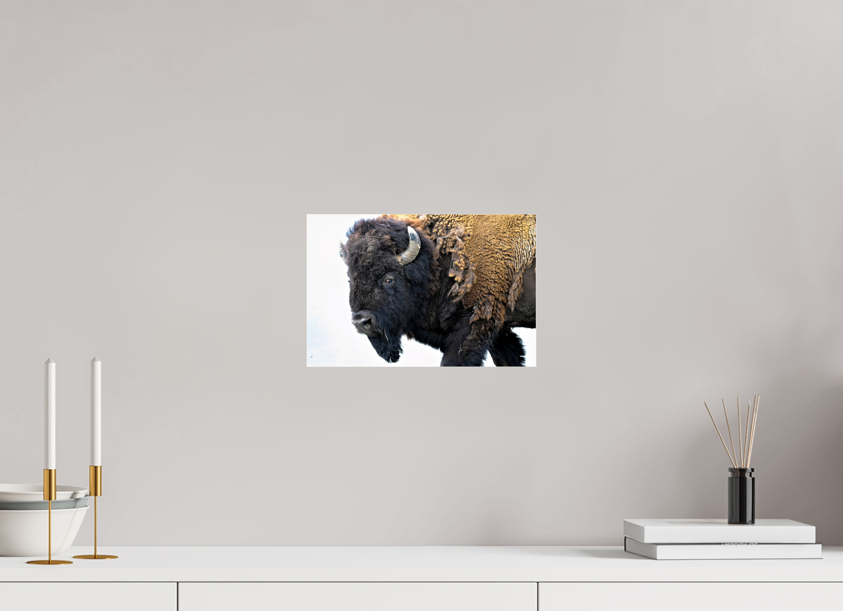 12 x 8″, ACRYLIC Bison Side eye