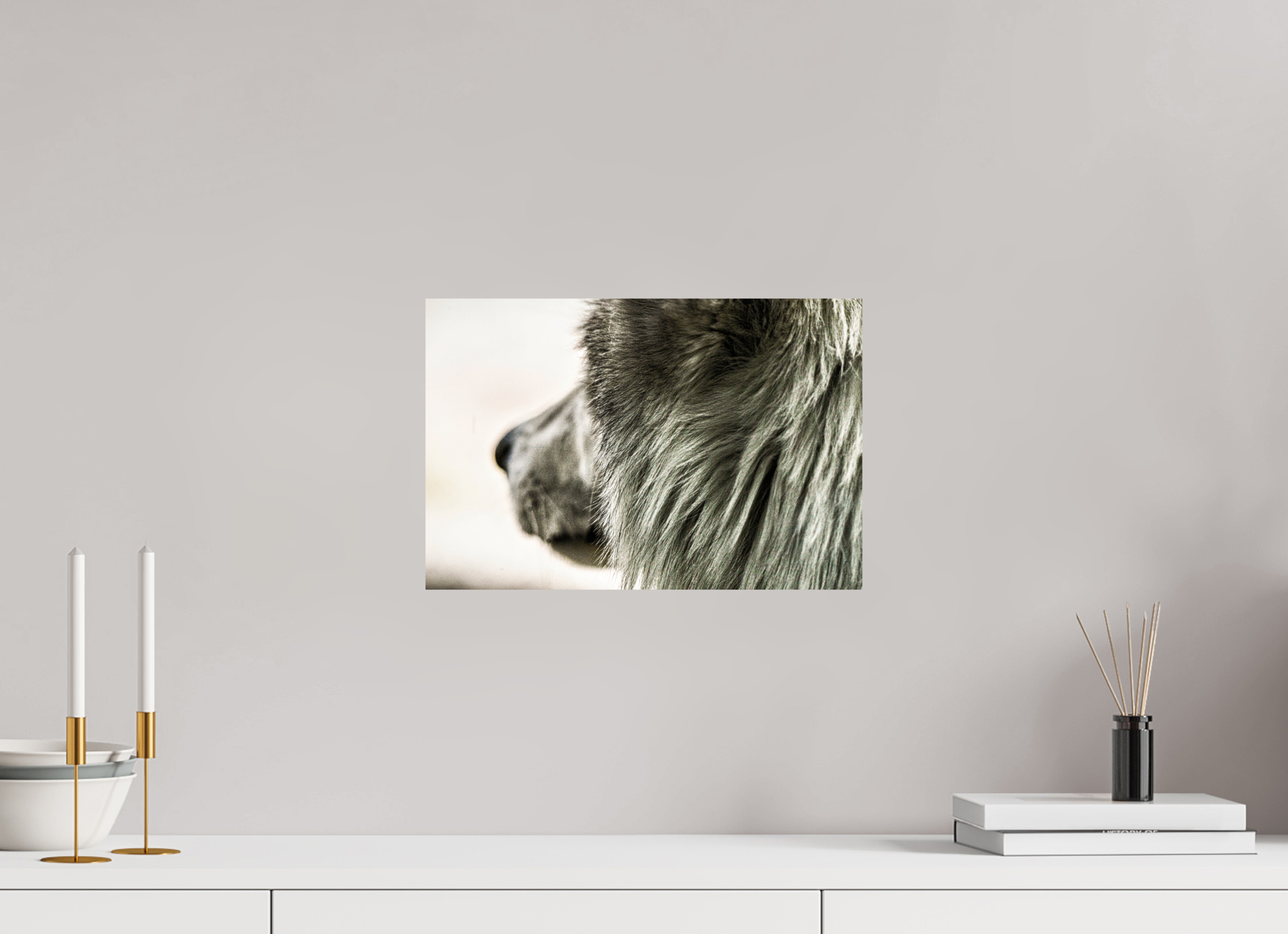 15 x 10″, METAL Wolf