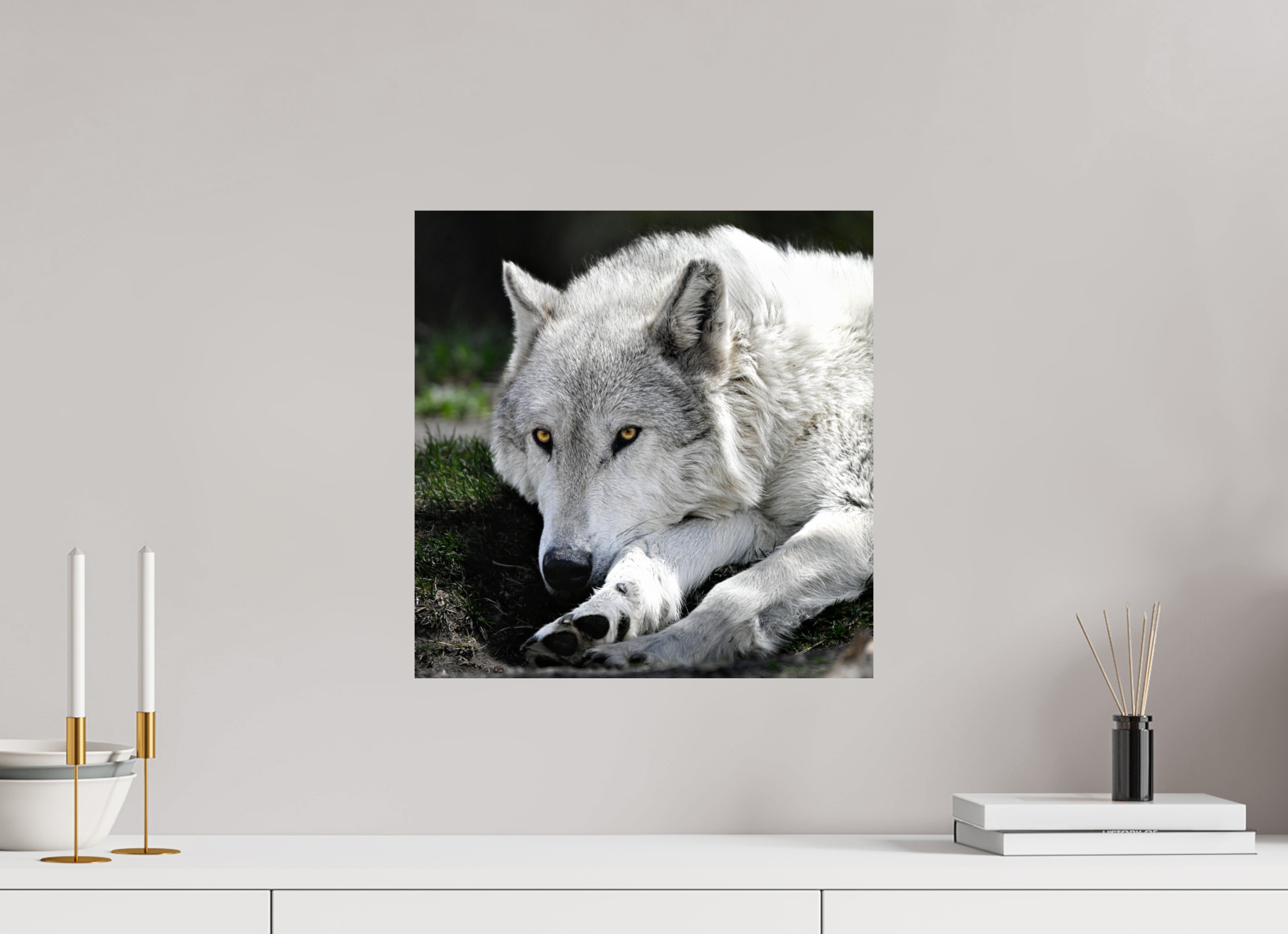16 x 16.3″, PHOTO PAPER Wolf With Yellow Eyes