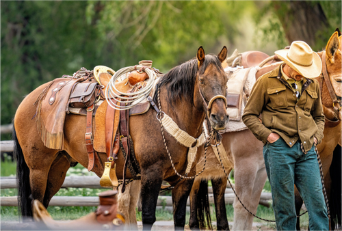 Main image Forest Service at Pack Horse Races