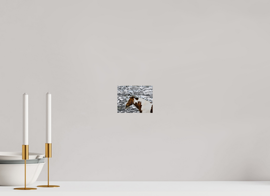 5.2 x 4″, PHOTO PAPER Paint Horse with Bird Flying Over