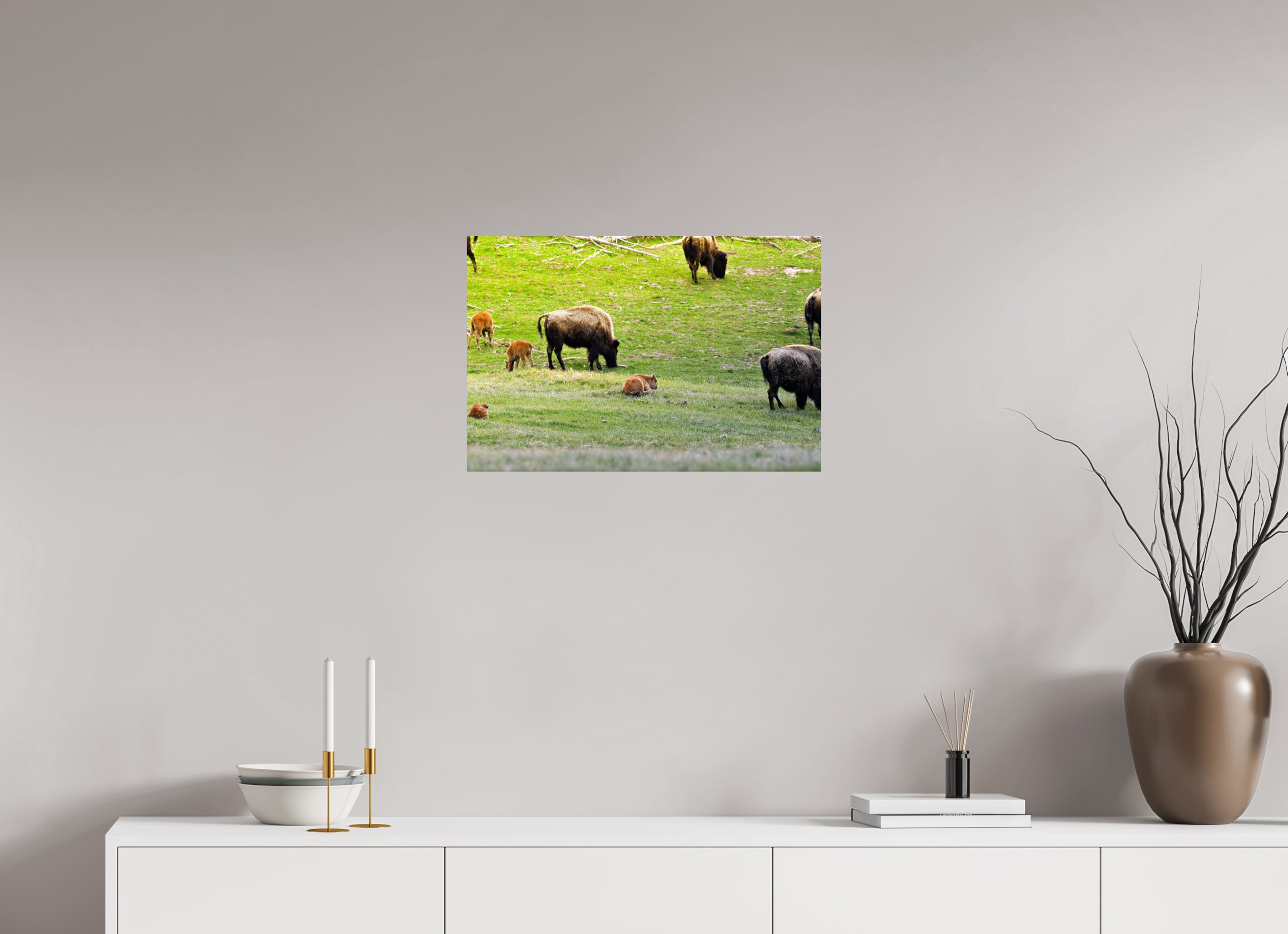 24 x 16″, PHOTO PAPER Bison Herd