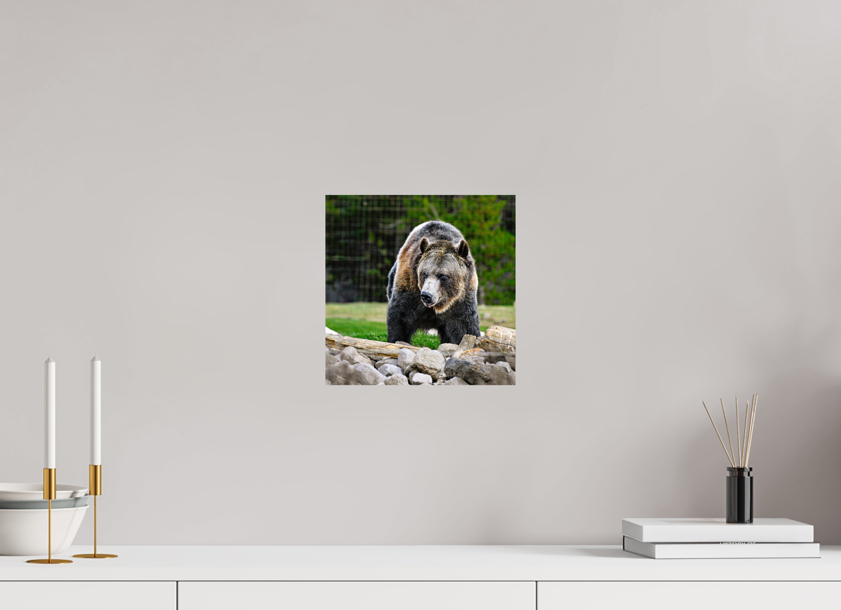 10 x 10″, METAL Bear