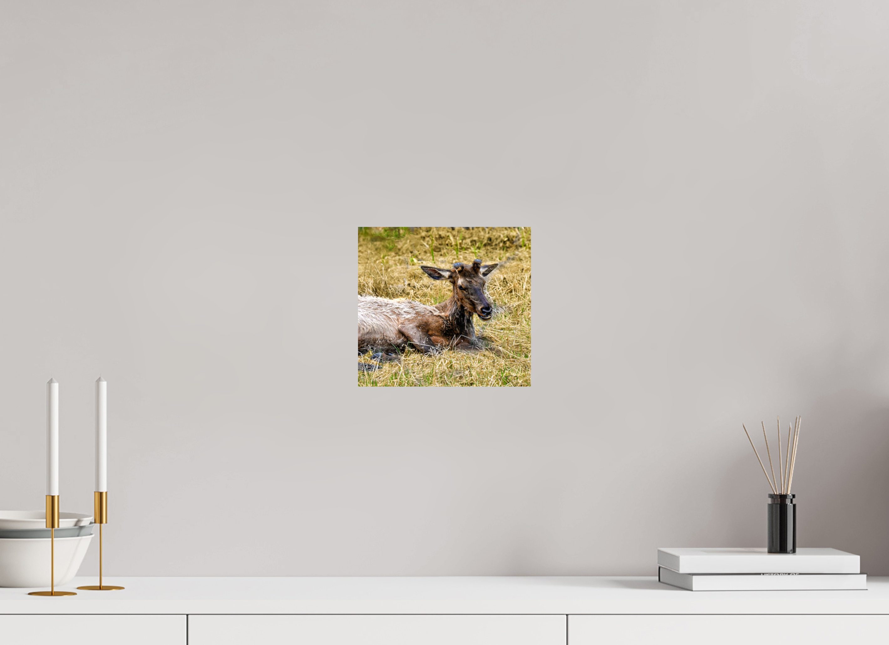 8.7 x 8″, METAL Elk