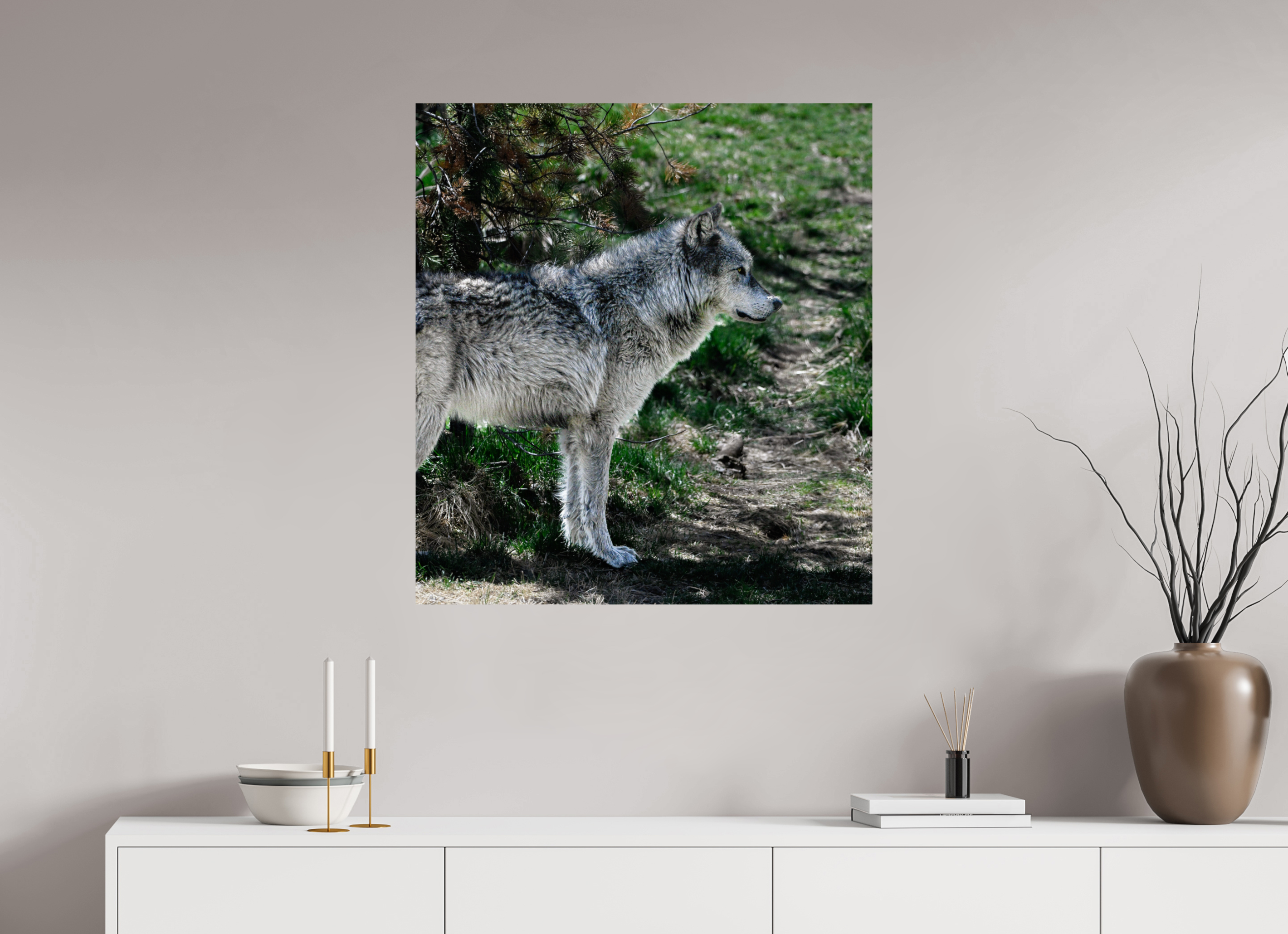 31 x 34″, PHOTO PAPER Wolf Standing
