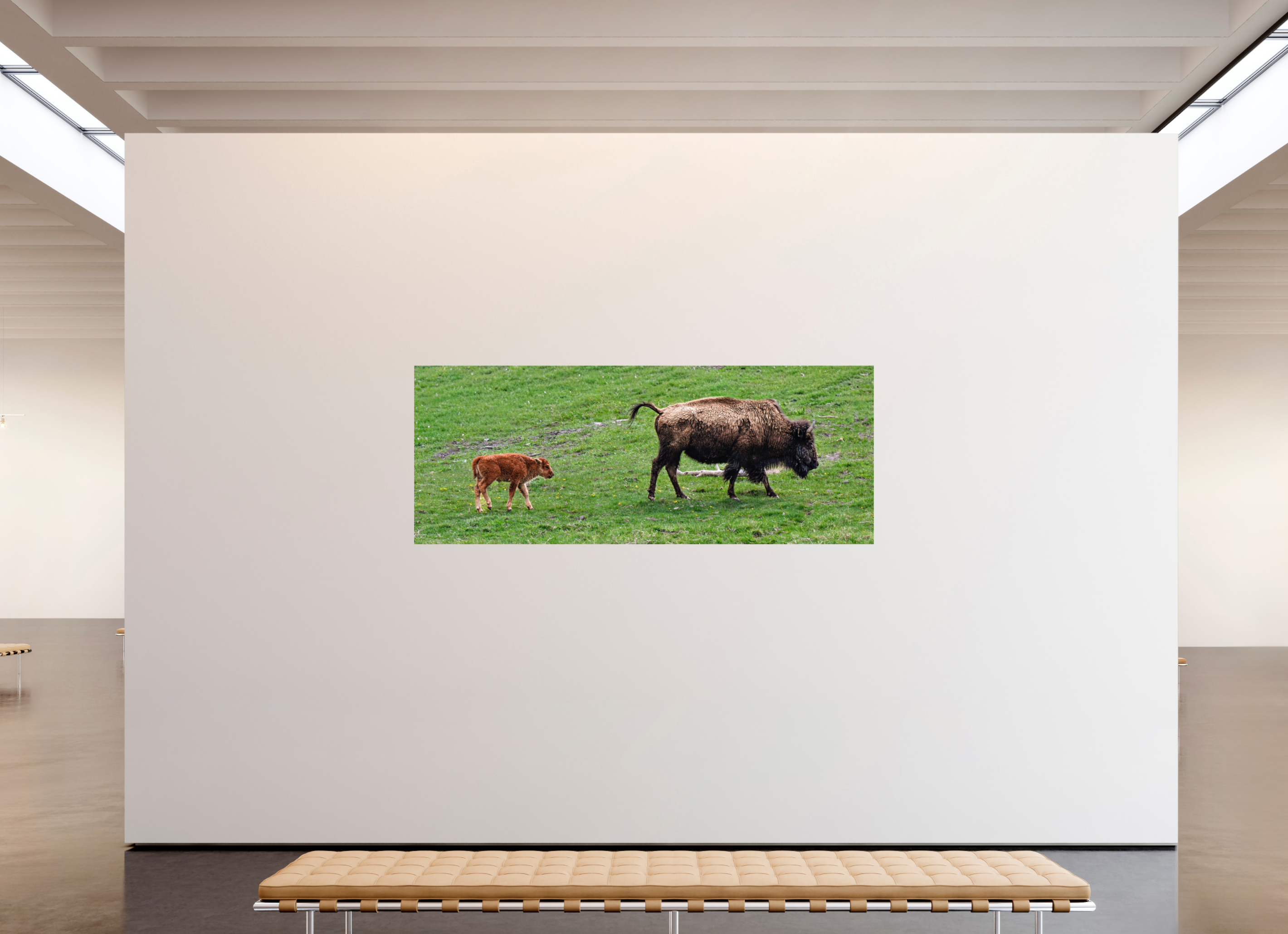 90.1 x 35″, METAL Bison and her Red Dog Following