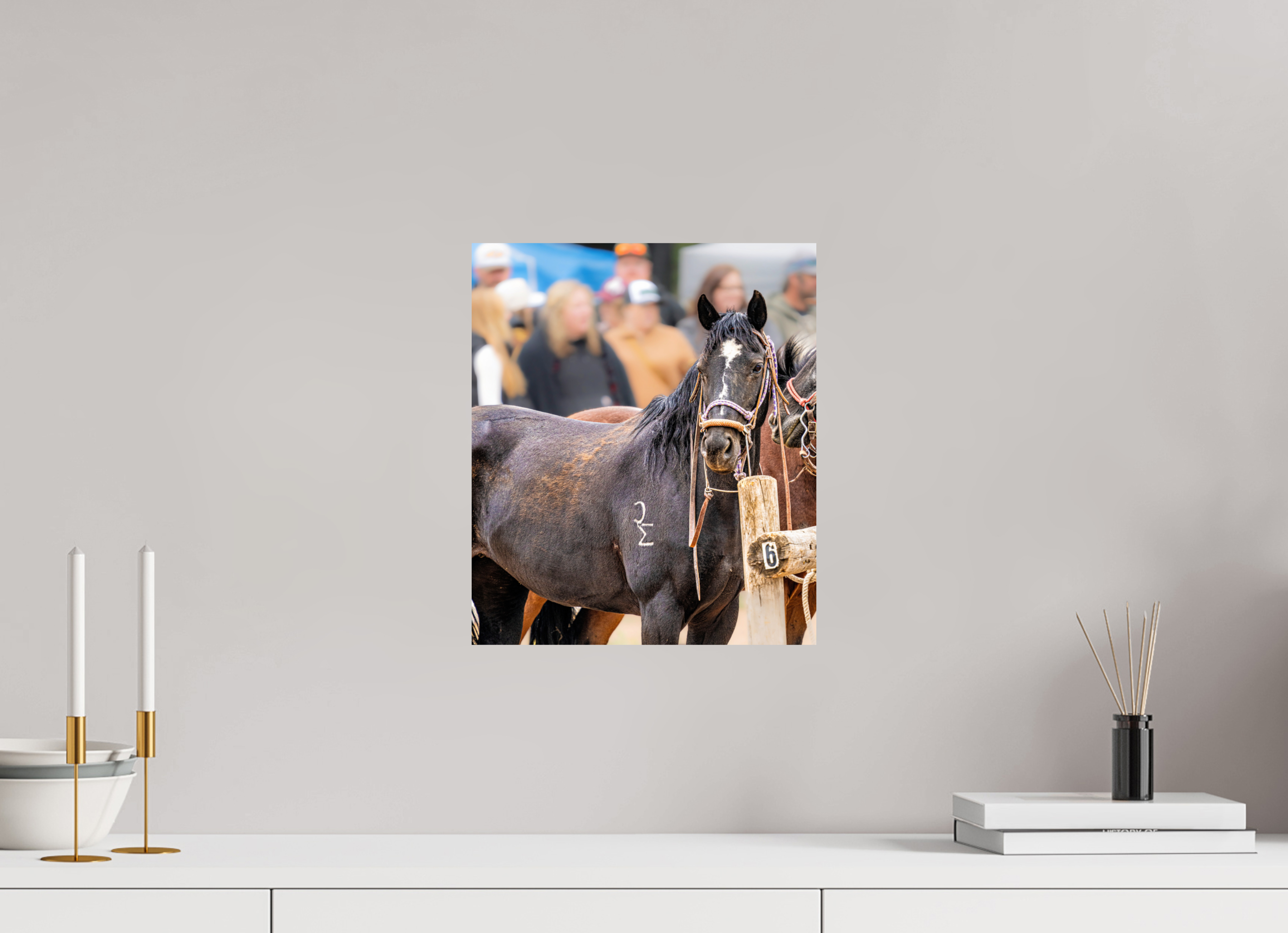 12 x 14″, PHOTO PAPER Pack Horse Portrait 17 Web Exclusive