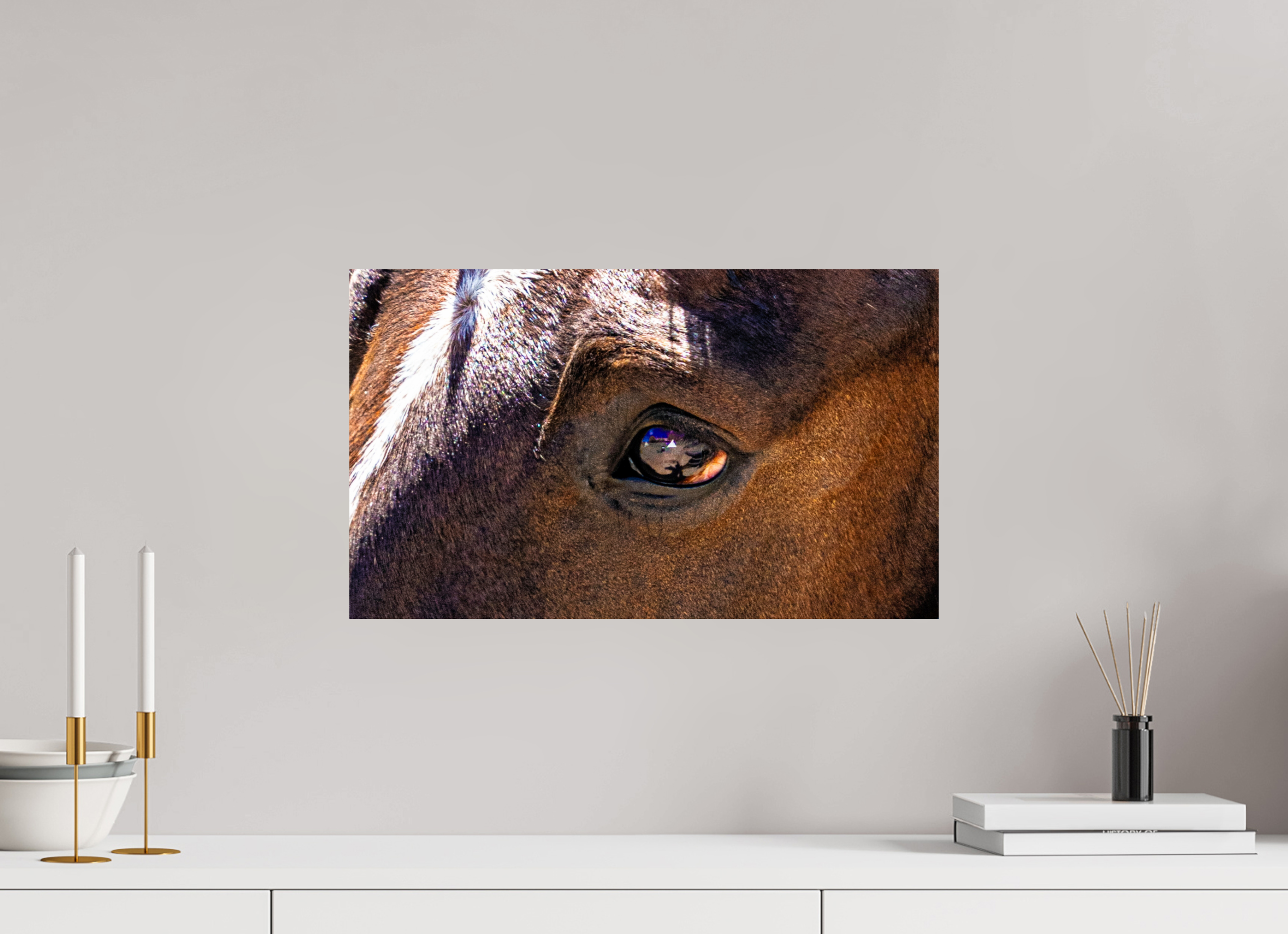 20.2 x 12″, METAL Pack Horse Eye