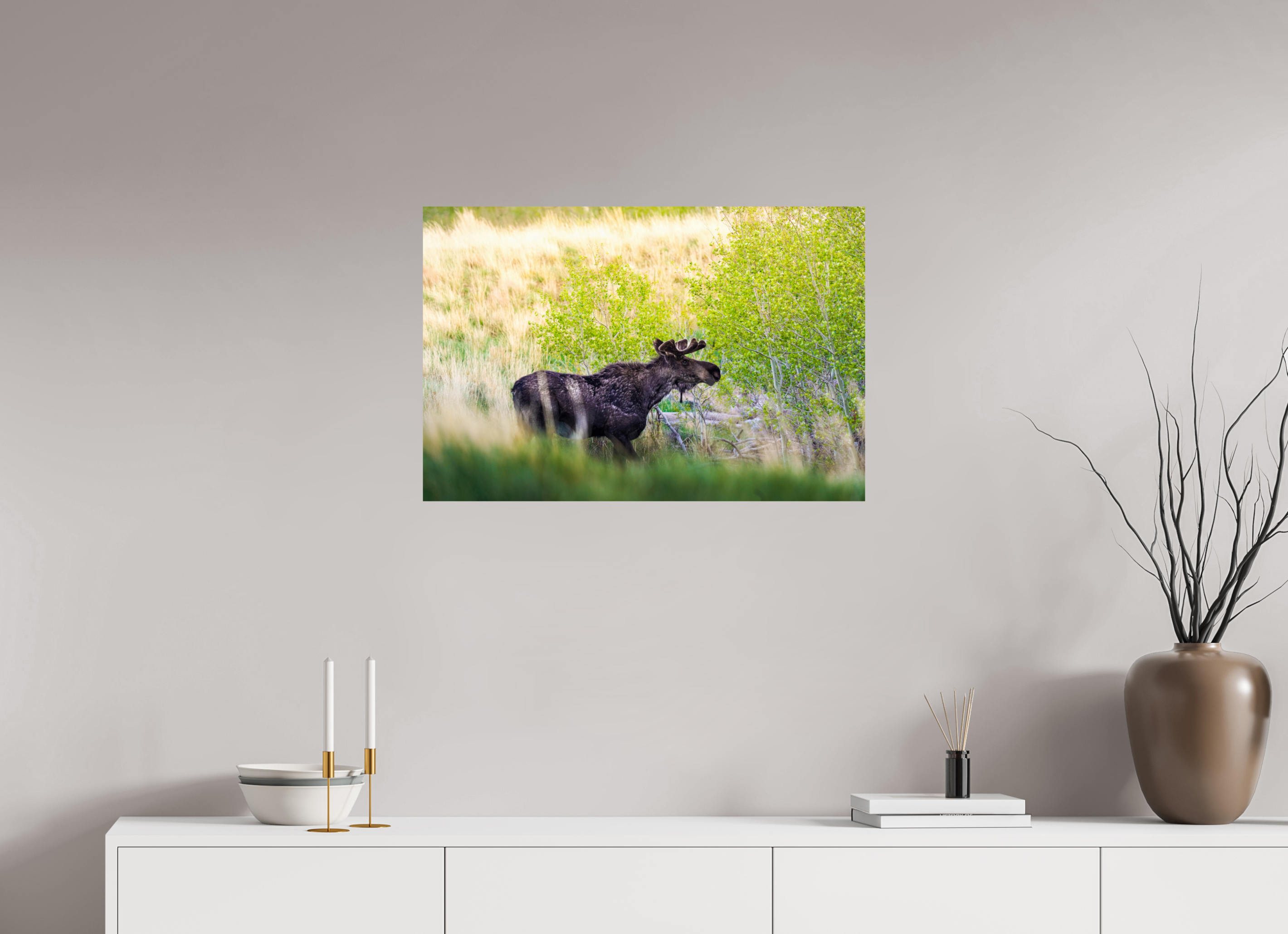 30 x 20″, PHOTO PAPER “Peek A Boo” Moose