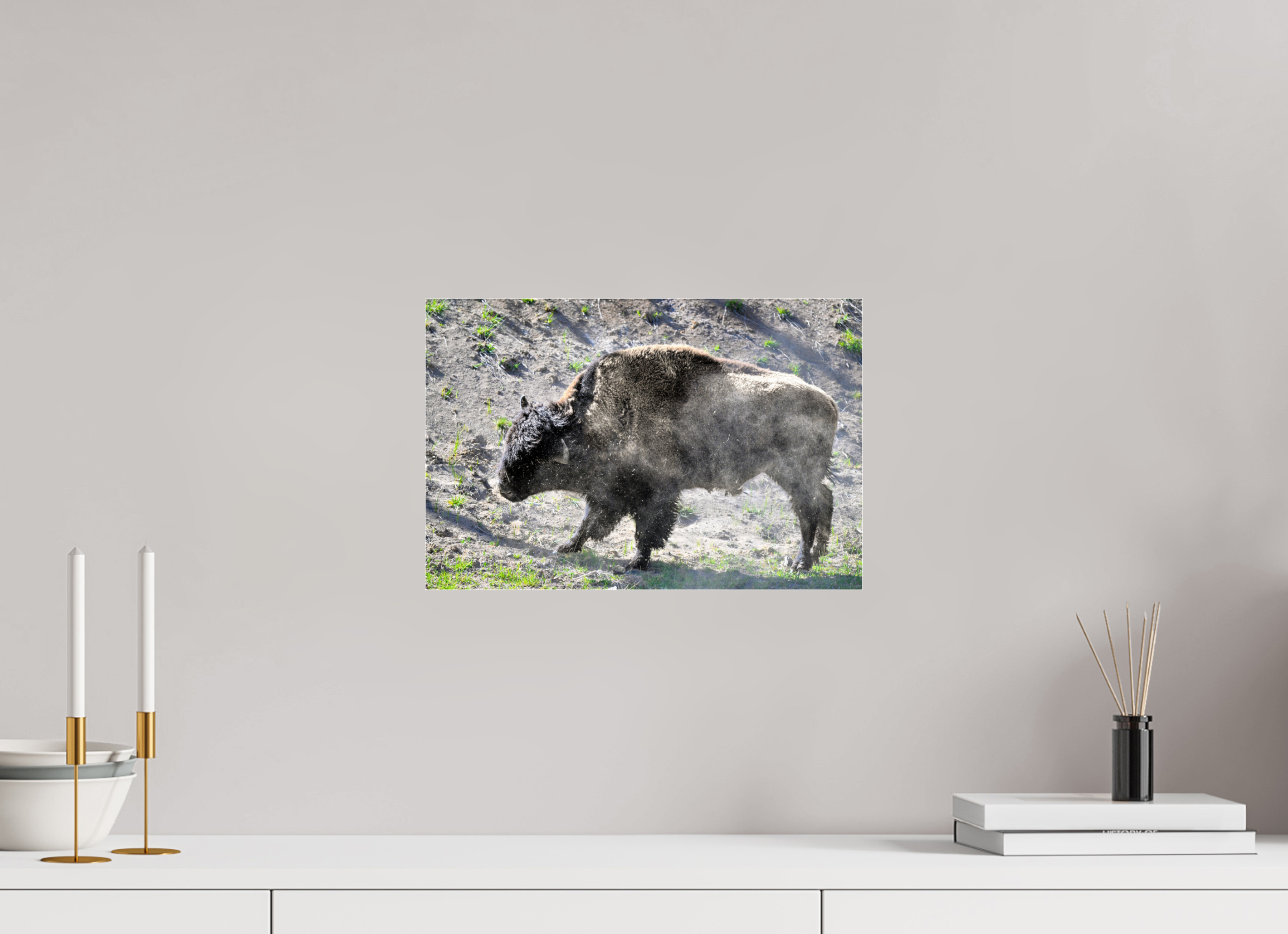 15 x 10″, ACRYLIC Bison Shake