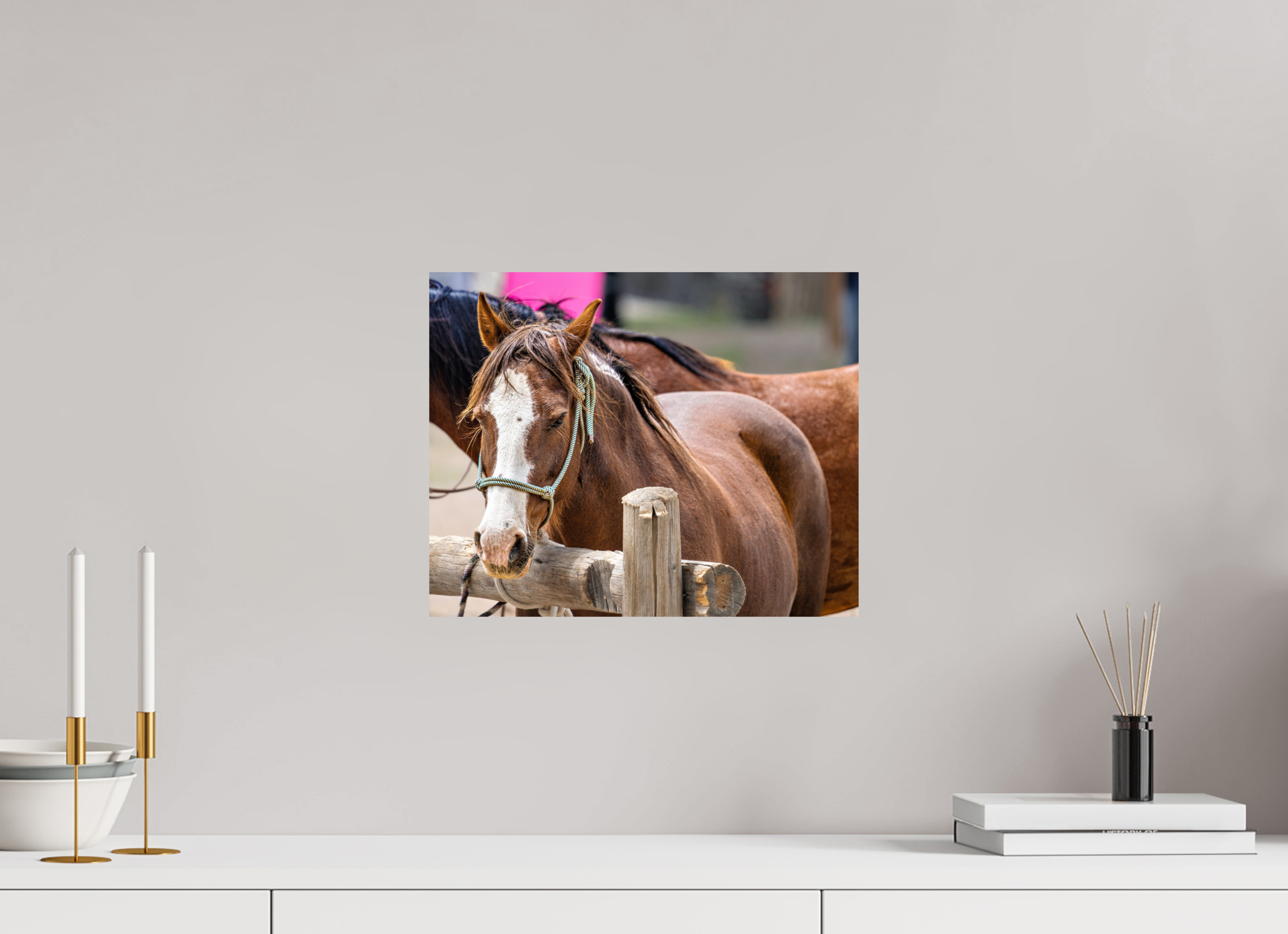 15 x 12″, PHOTO PAPER Pack Horse Portrait 12 Web Exclusive