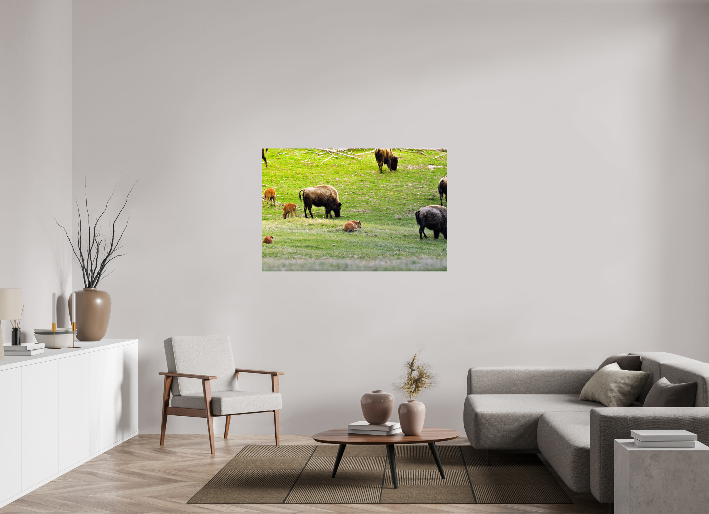 54 x 36″, PHOTO PAPER Bison Herd